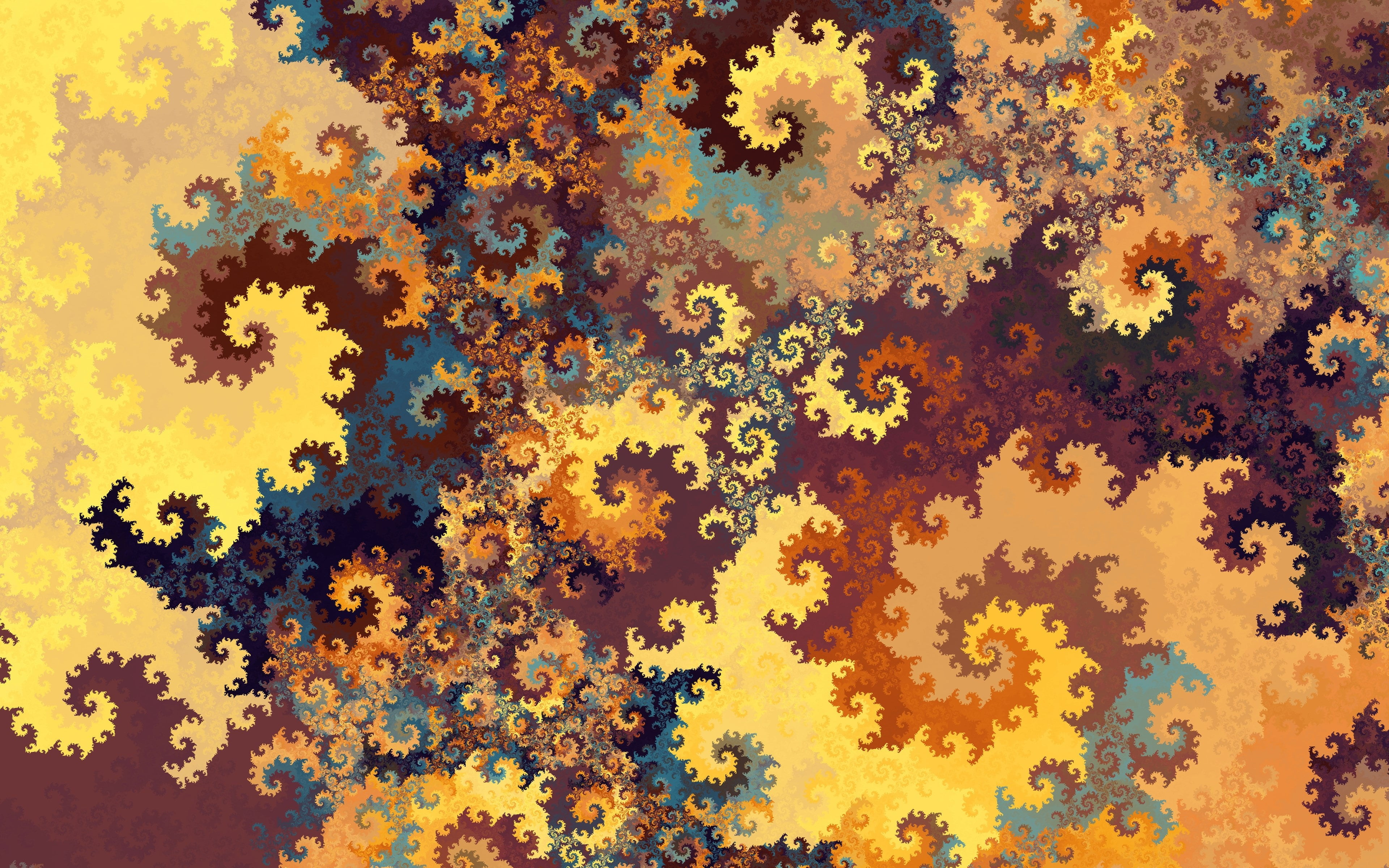 plant, full frame, 4K, pattern, floral pattern, choice, yellow, backgrounds, flower, orange color, fragility, vulnerability, flower head, day, freshness, HD Wallpaper
