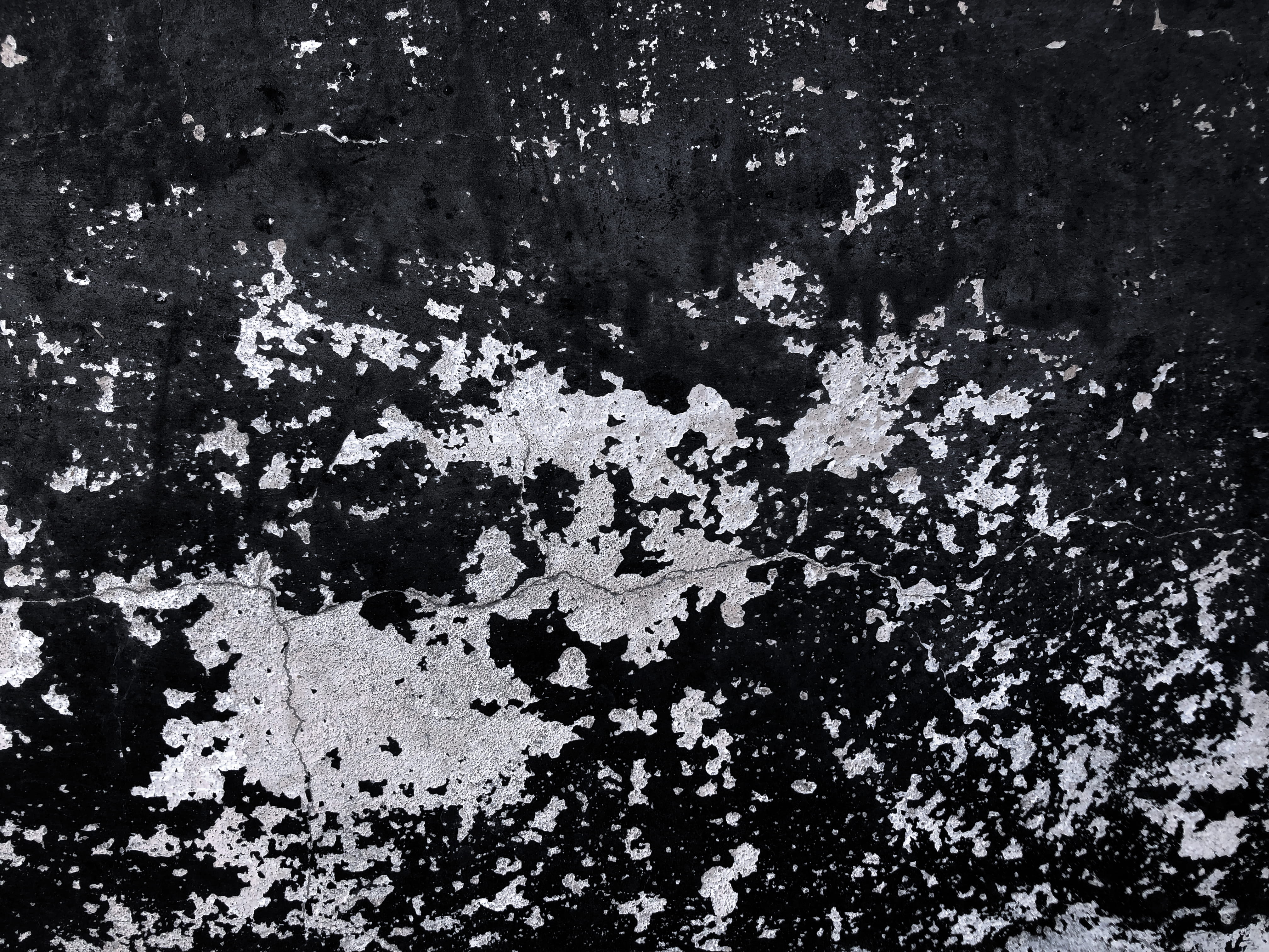 tree, day, decline, growth, abstract, unsplash awards, art, black and white, paint, outdoors, tar, pattern, lichen, rock, close-up, deterioration, creative, HD Wallpaper