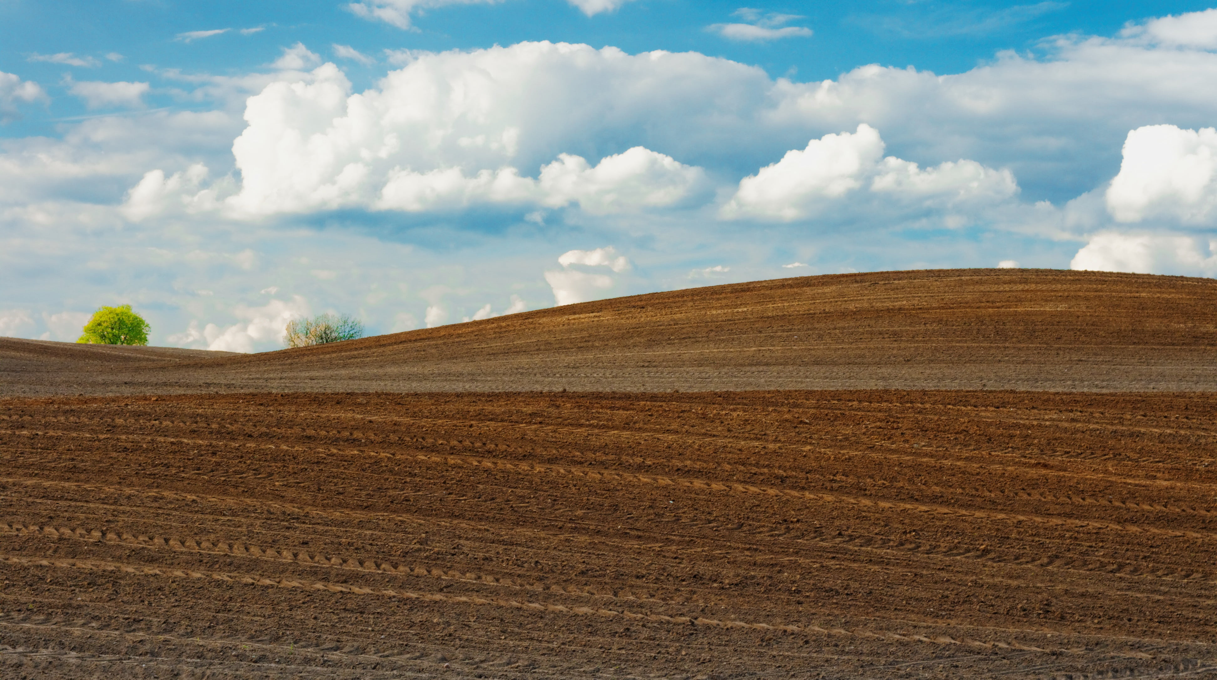 nature, cloudy, horizon over land, sky, cloud - sky, field, non-urban scene, agricultural, no people, soil, 4K, rural Scene, rural, landscape, tranquility, HD Wallpaper