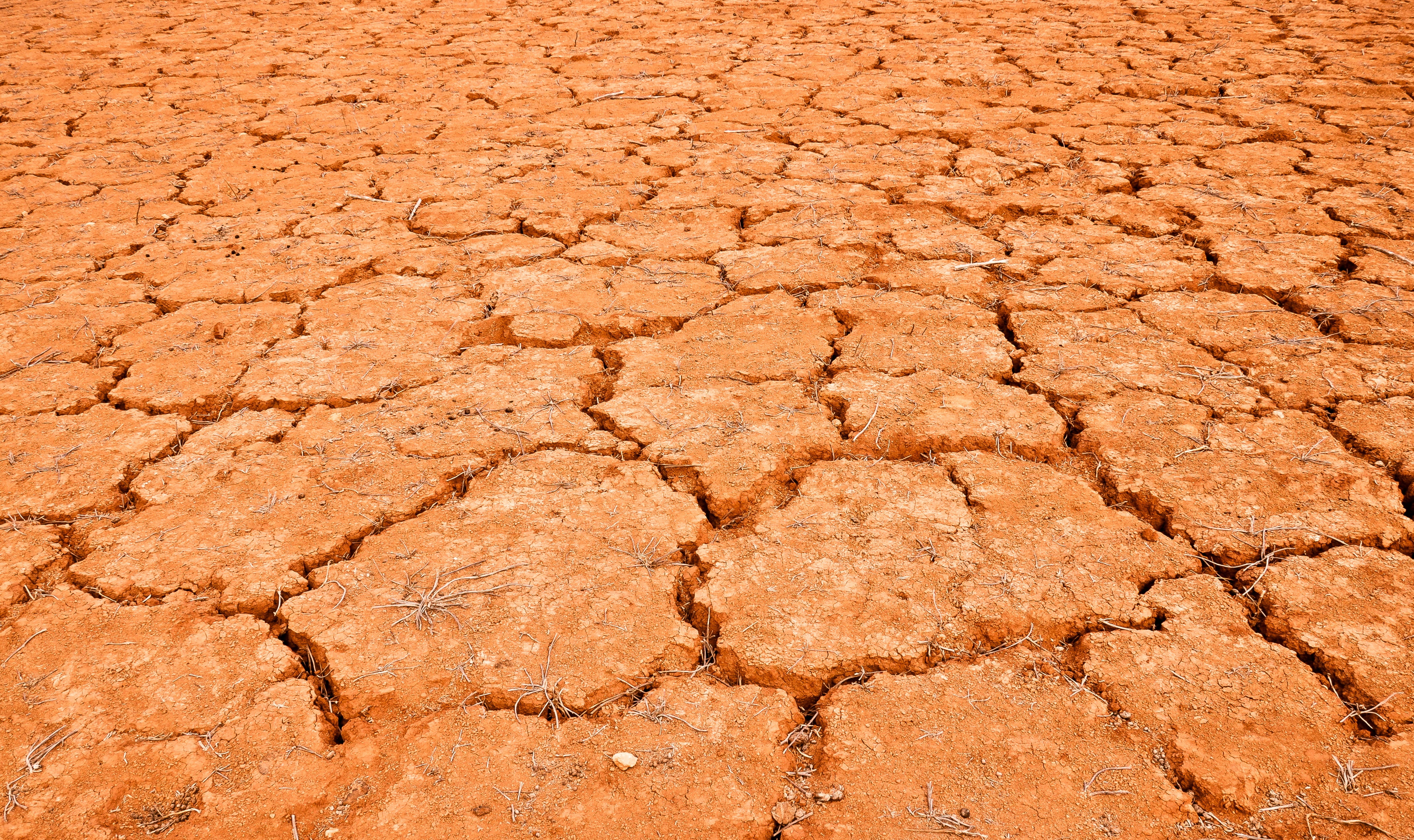 textured effect, dried, drought, environment, field, landscape, without life, backgrounds, brown, dirt, mud, 4K, heat, outdoors, nature, arid Climate, HD Wallpaper