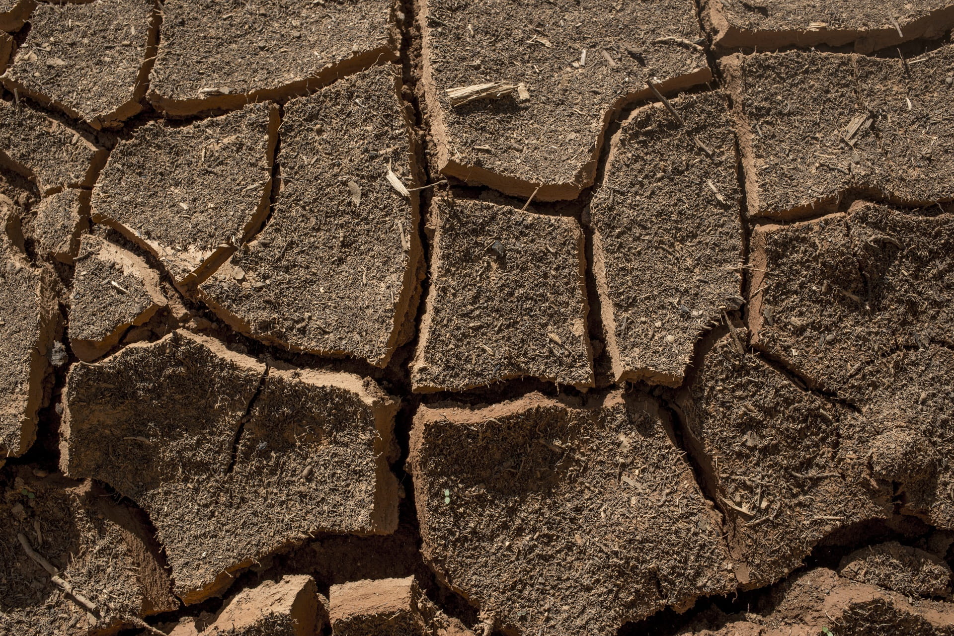 hit, high angle view, Cracks, mud, full frame, landscape, 1080P, without rain, day, science, Earth, nature, Ground, Dry, drought, brown, climate, backgrounds, HD Wallpaper