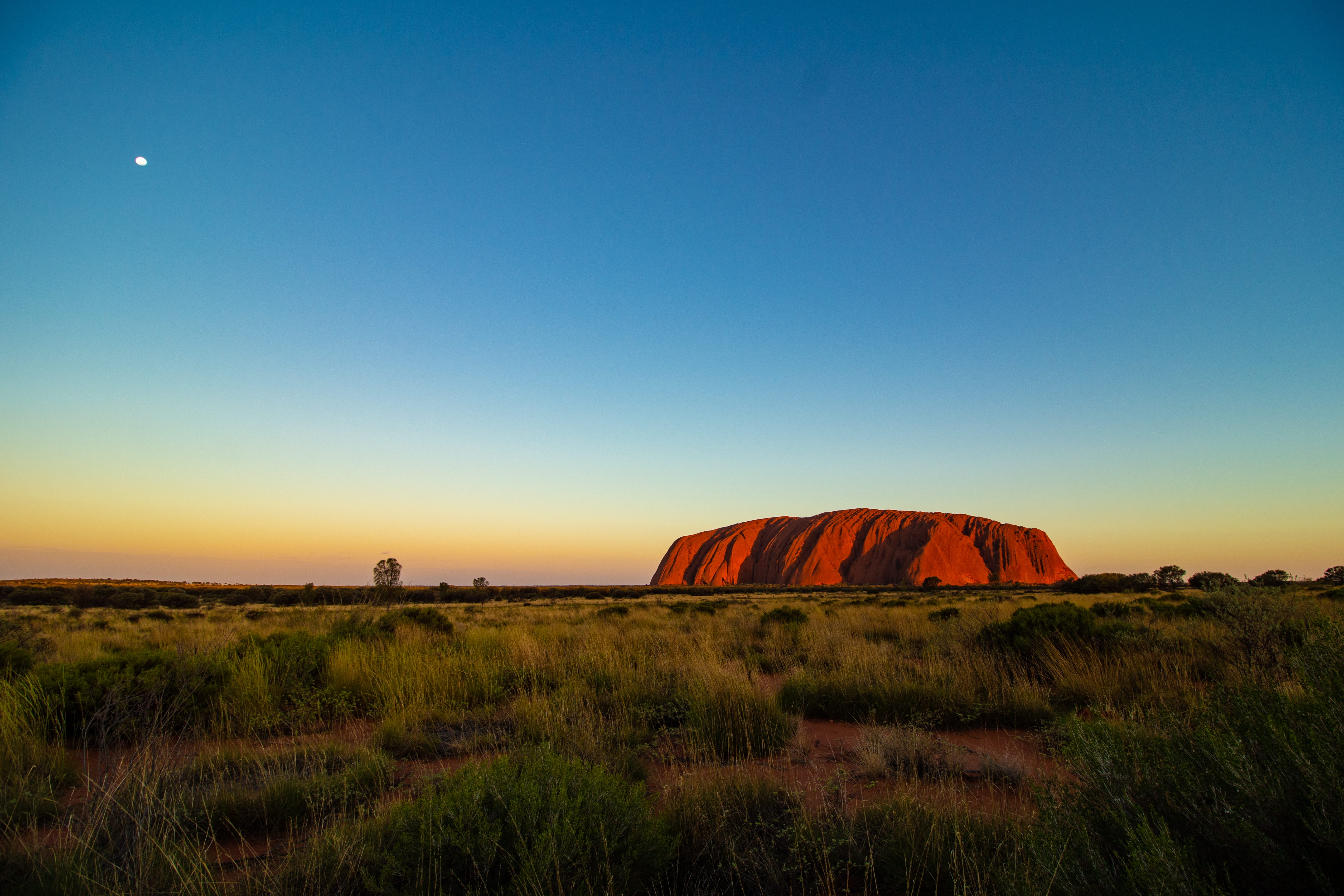 tranquil scene, uluru and kata tjura national park, scenics - nature, australia, outback, rock, mesa, copy space, brown, sky, non-urban scene, environment, HD Wallpaper
