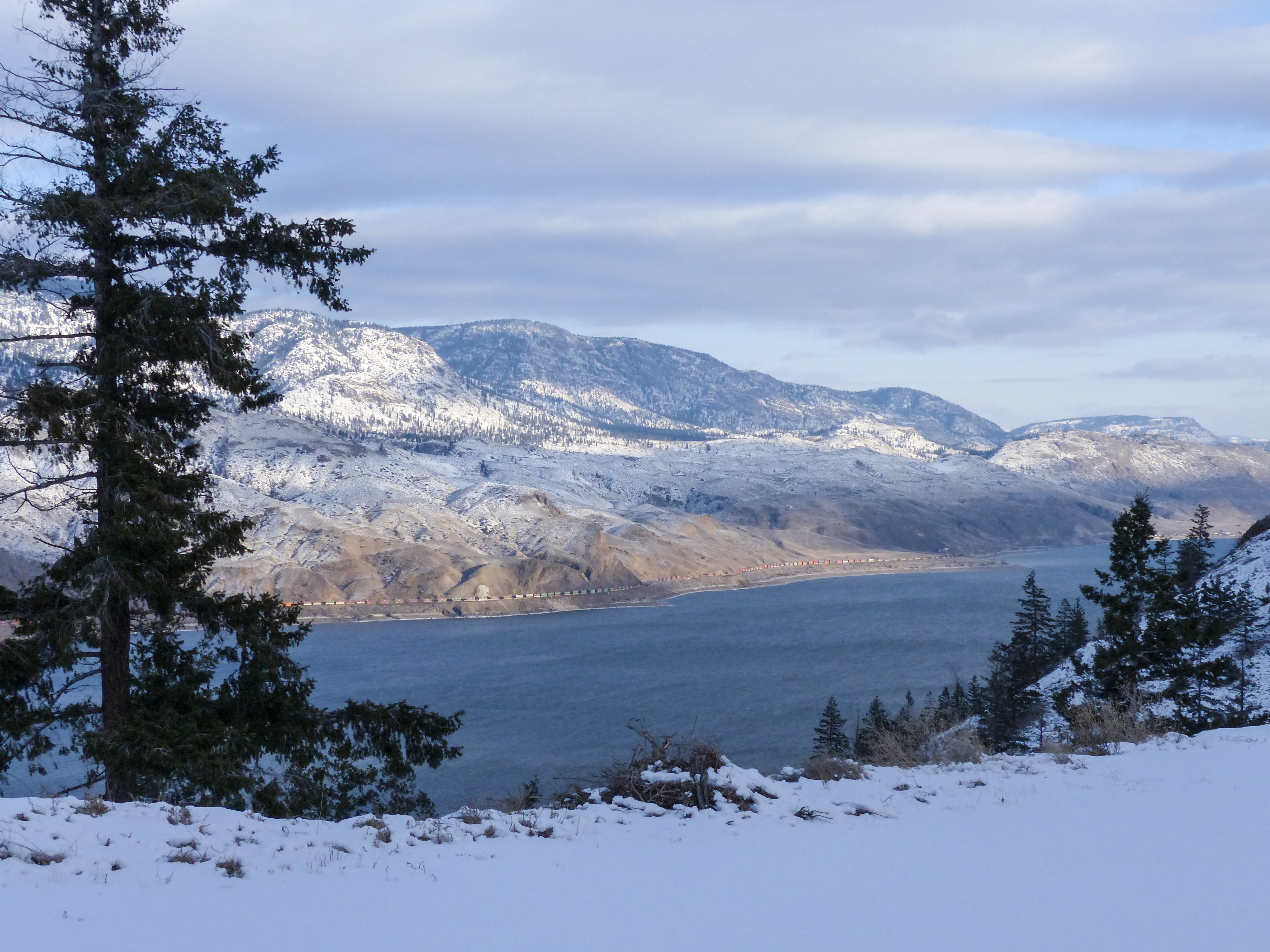 plant, scenics - nature, cold temperature, sky, covering, cold, wintry, winter magic, mountain, mountain range, winter, landscape, kamloops lake, scenic, HD Wallpaper