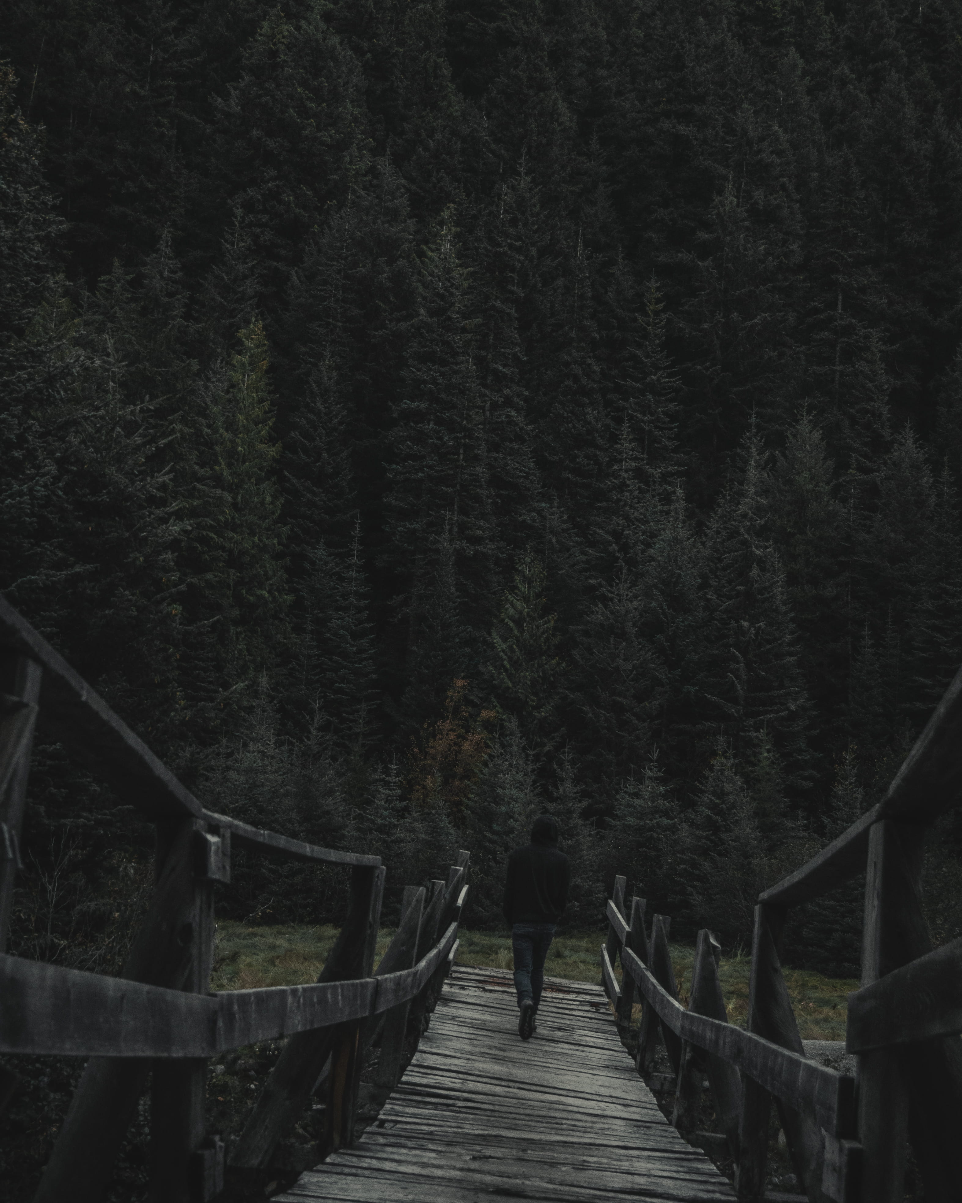 daytime, building, railing, standing, port, one person, lifestyles, built structure, land, trees, abies, walking, trans canada highway east frontage road, Phone HD Wallpaper