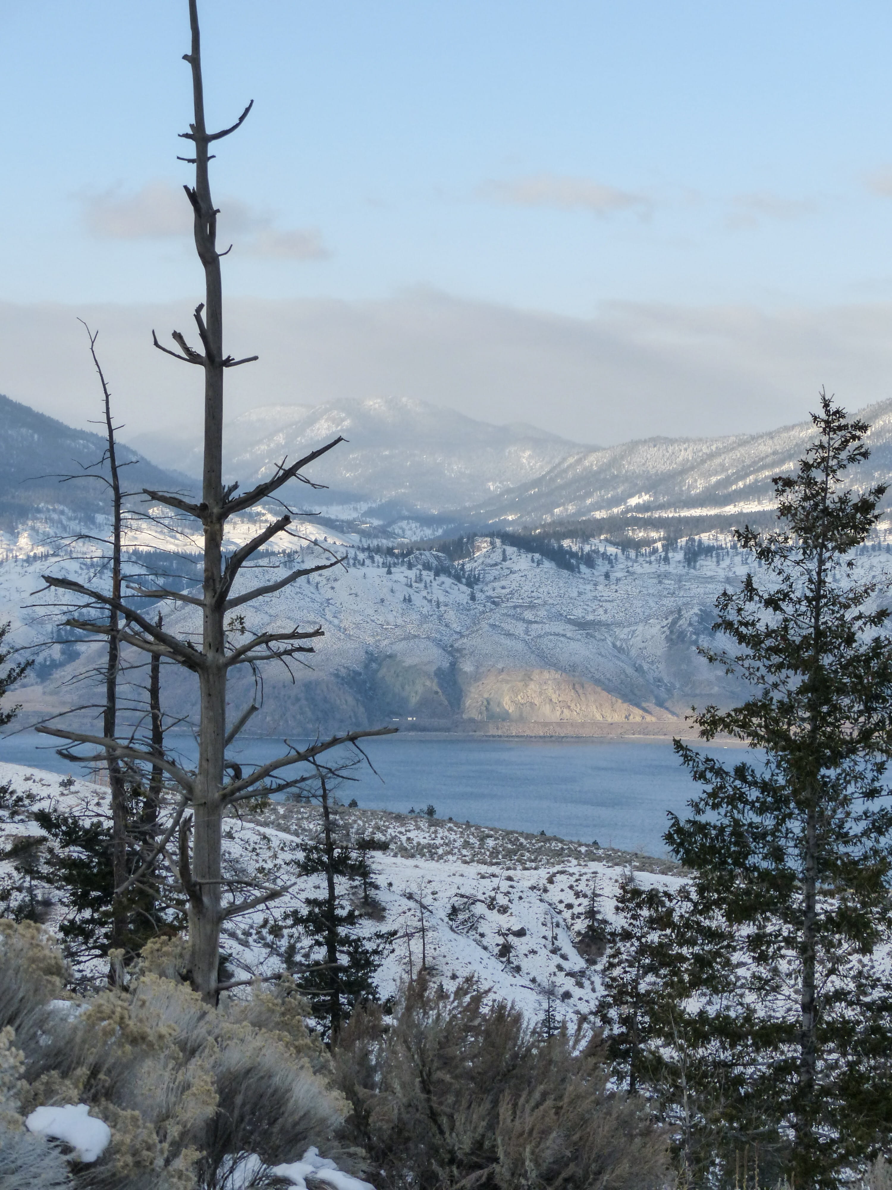 scenics - nature, tree, Kamloops Lake, plant, cold, 4K, landscape, sky, frozen, day, snow, winter magic, winter, outdoors, Canada, mountain, water, nature, Phone HD Wallpaper
