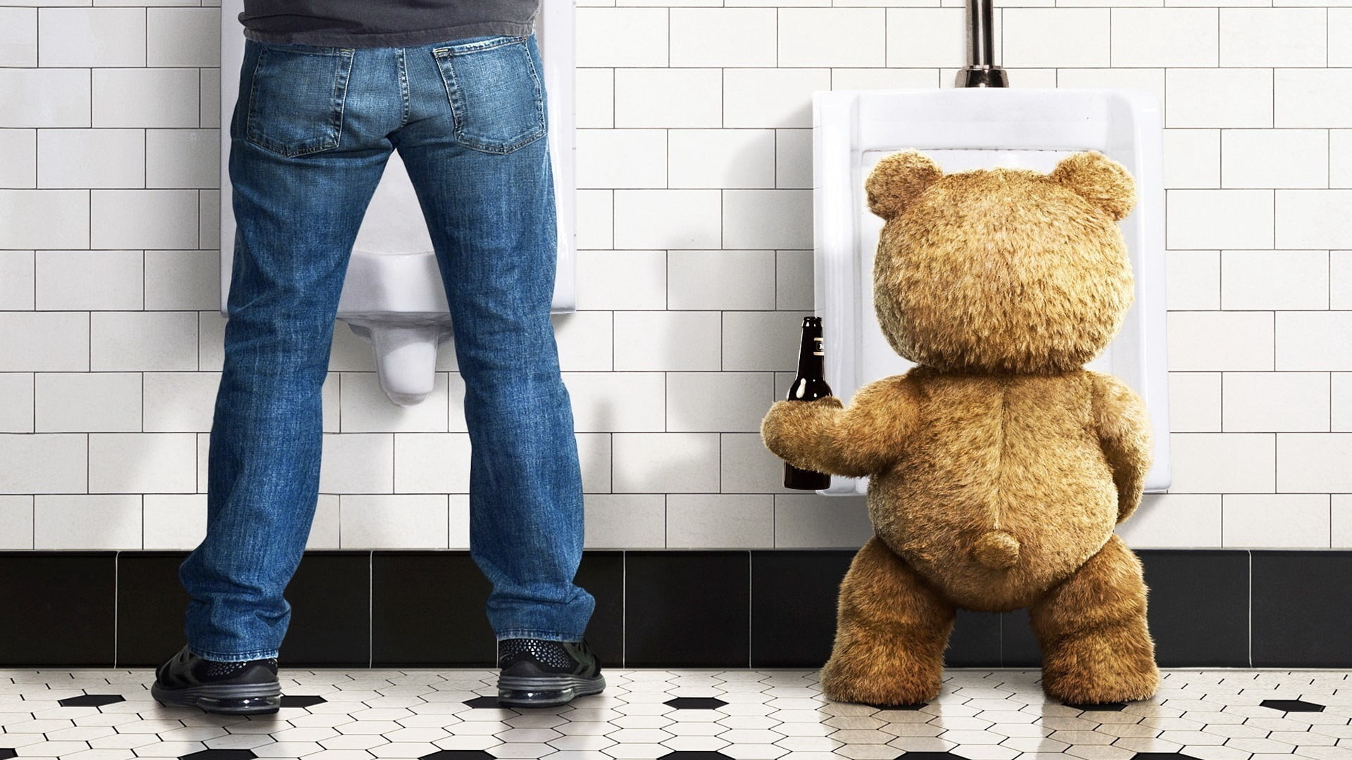 ted, 1080P, funny, movie, plush, drunk, bear, HD Wallpaper