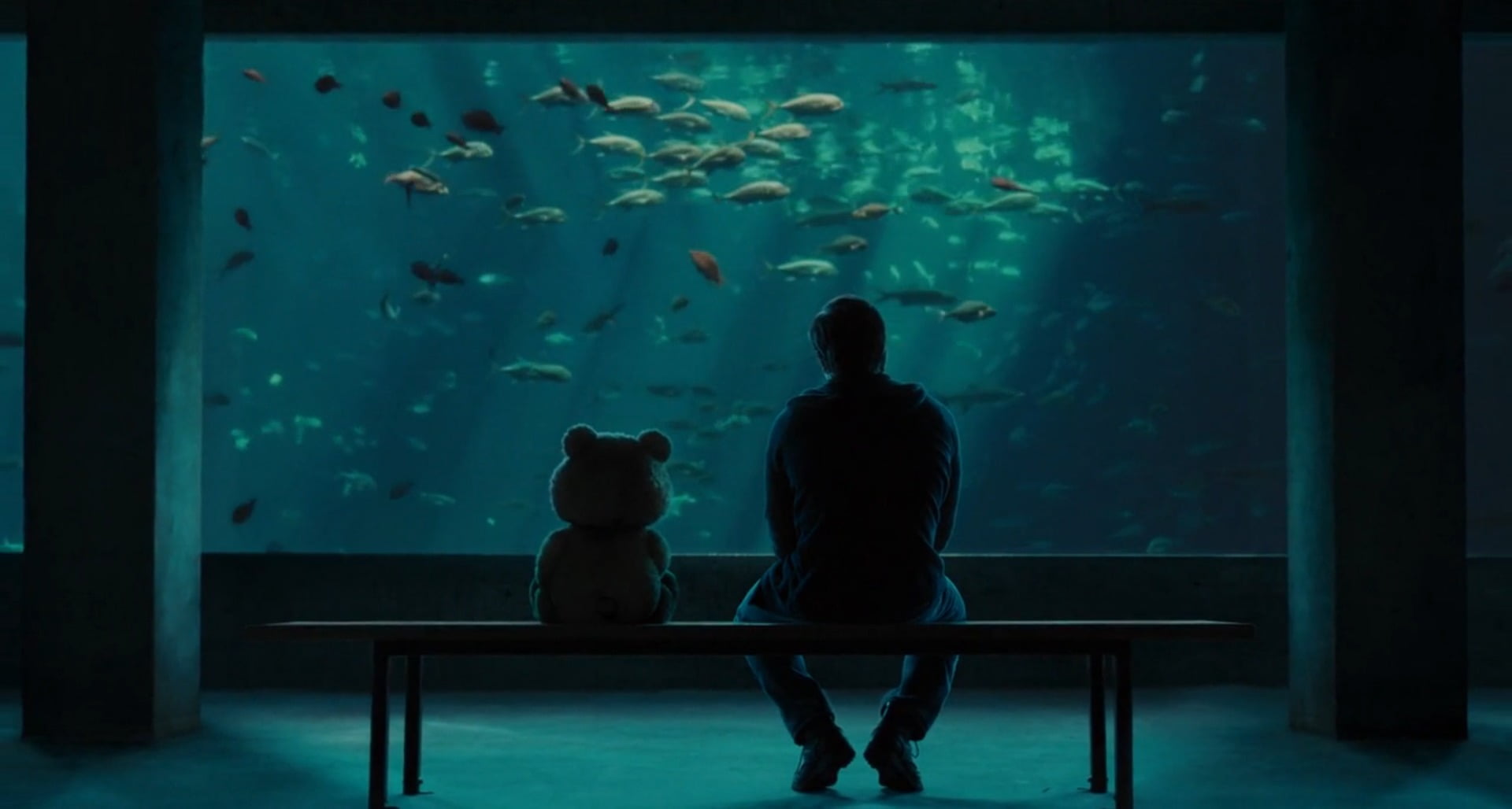nature, sea, beside, 1080P, toy, offspring, bear, innocence, aquarium, child, vertebrate, childhood, plush, sitting, watching, water, marine, Ted, animals in captivity, HD Wallpaper