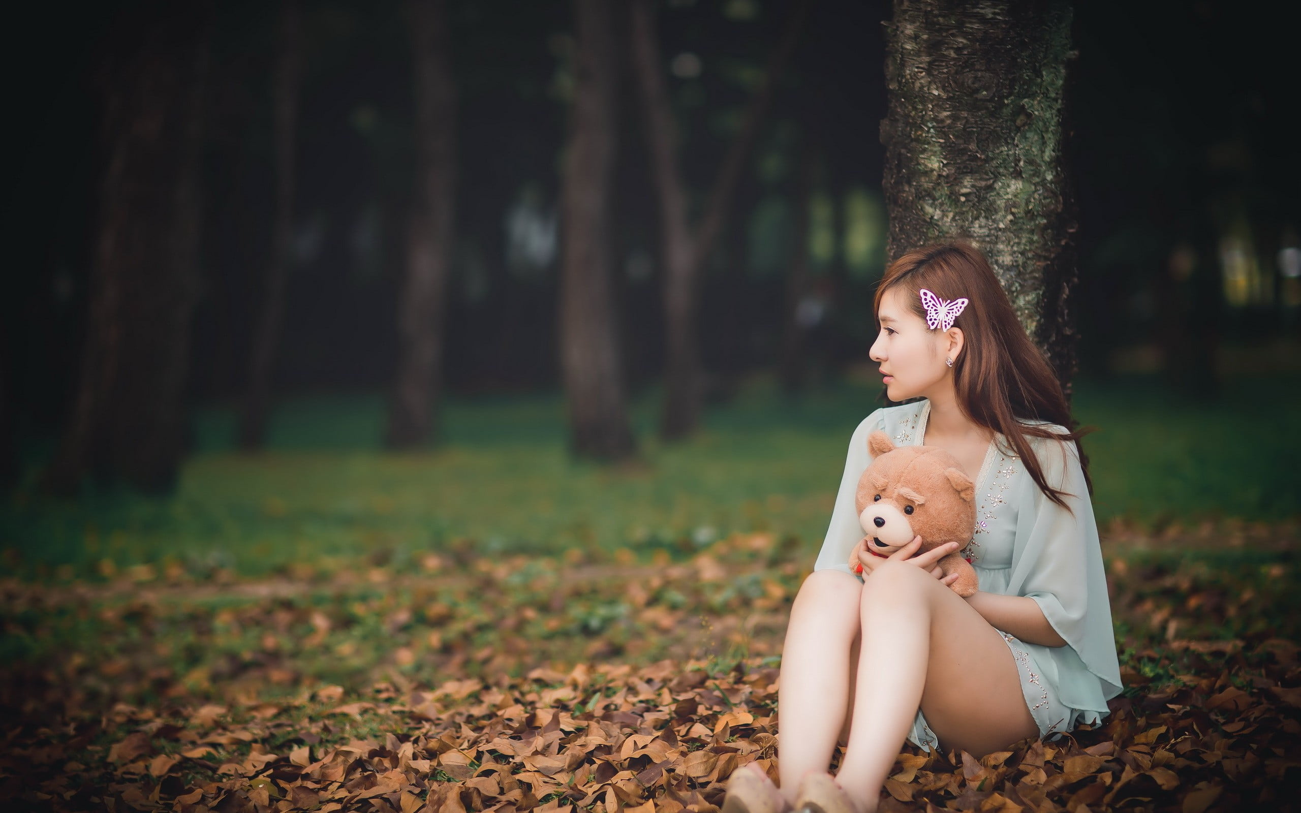 domestic animals, women, mammal, canine, woodland, trunk, model, animal, hairstyle, outdoors, one person, focus on foreground, domestic, young adult, pets, HD Wallpaper