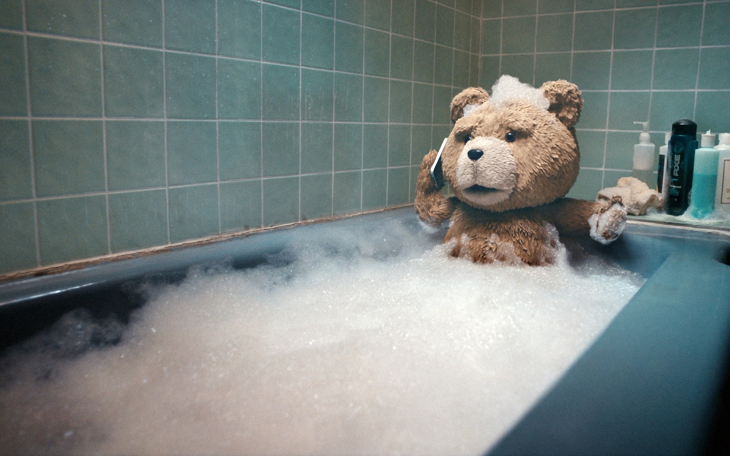 Ted (movie), teddy bears, movies, 2K, HD Wallpaper
