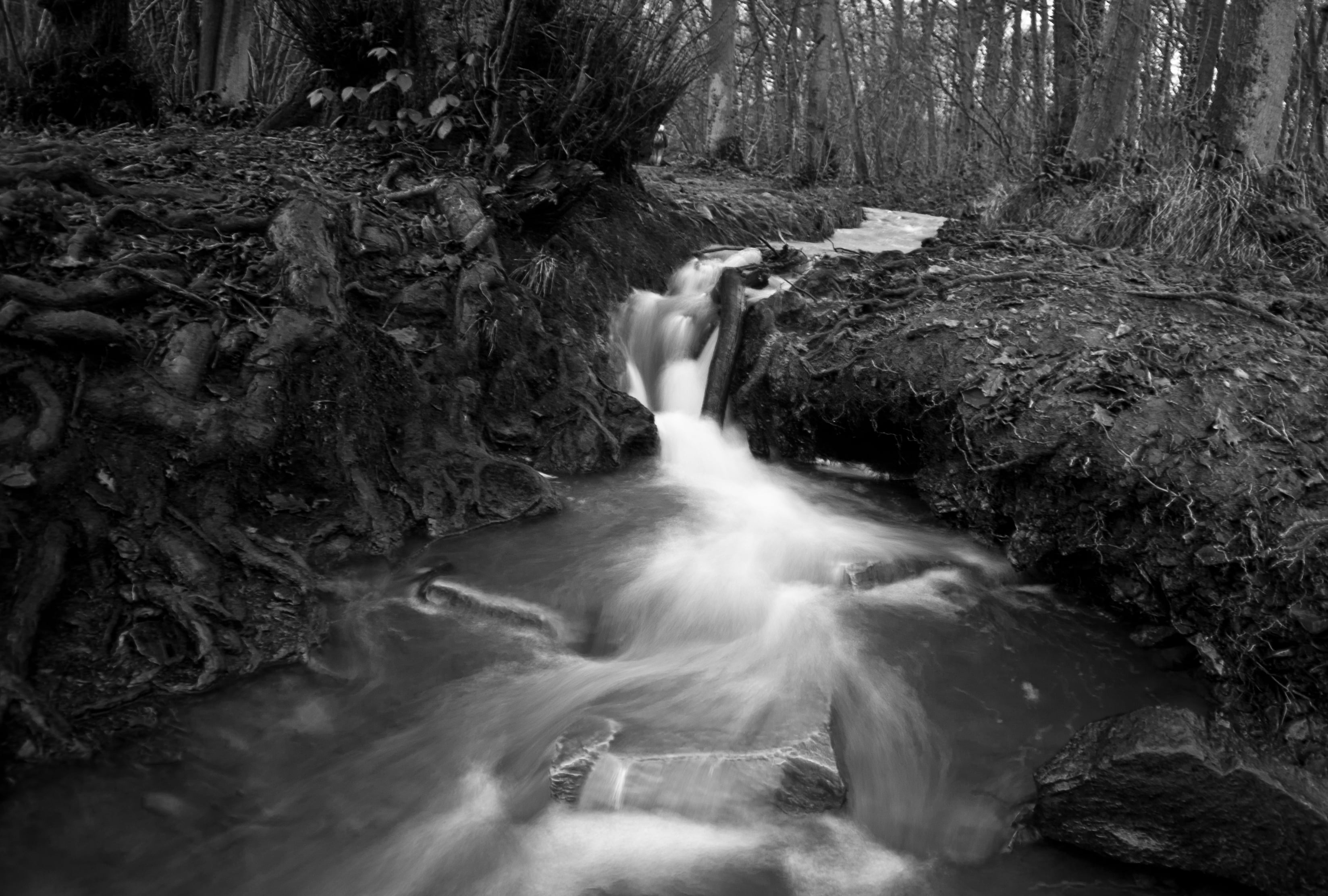 photo, grayscale, lake, walk, black And White, stream, landscape, outdoors, river, waterfall, trees, Canon, blackandwhite, scenics, vignetting, tree, water, HD Wallpaper