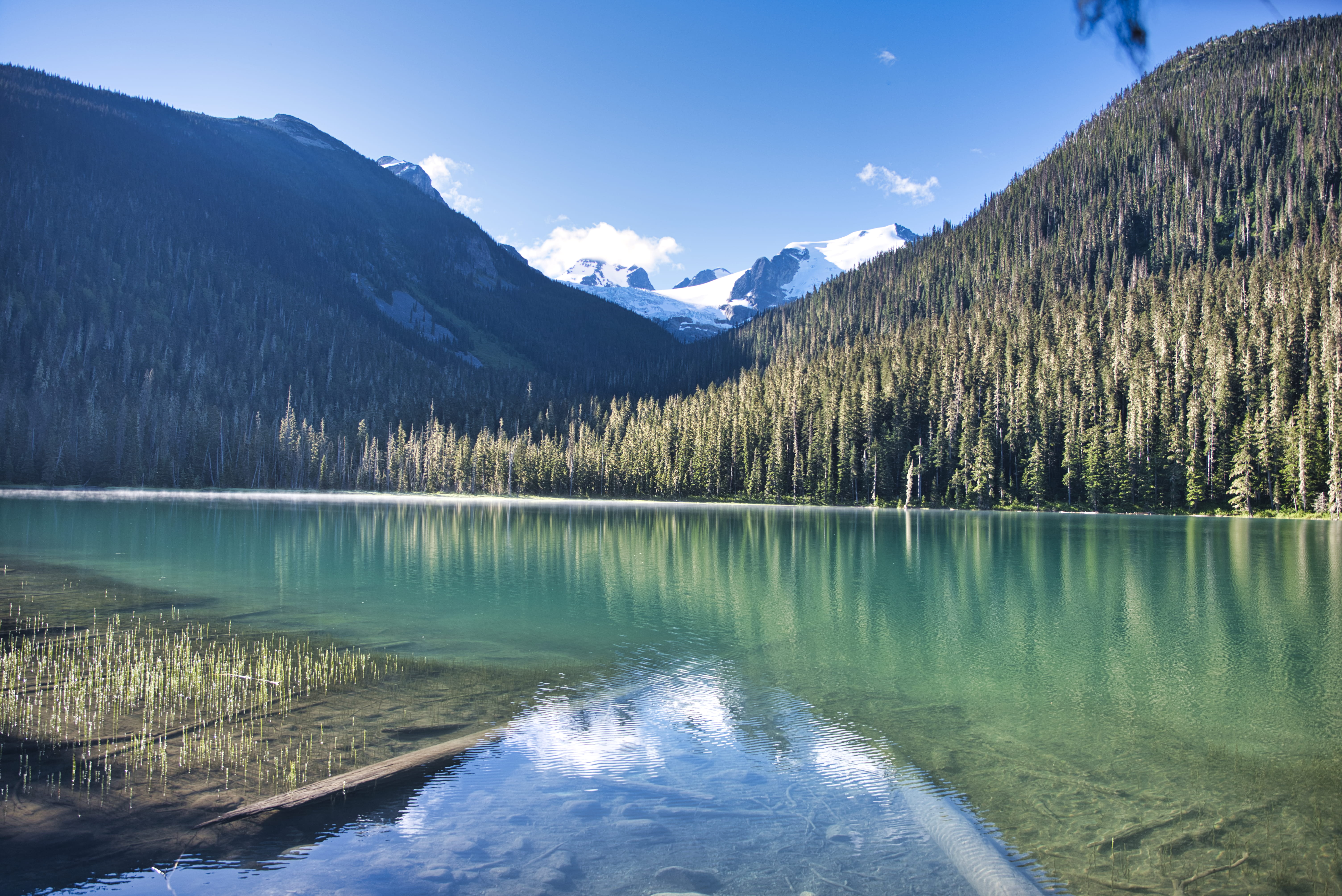 beauty in nature, reflection, pemberton, mountain range, ice, mbicca, cloud - sky, water, outdoors, day, snow, coniferous tree, nature, mountain, forest, HD Wallpaper