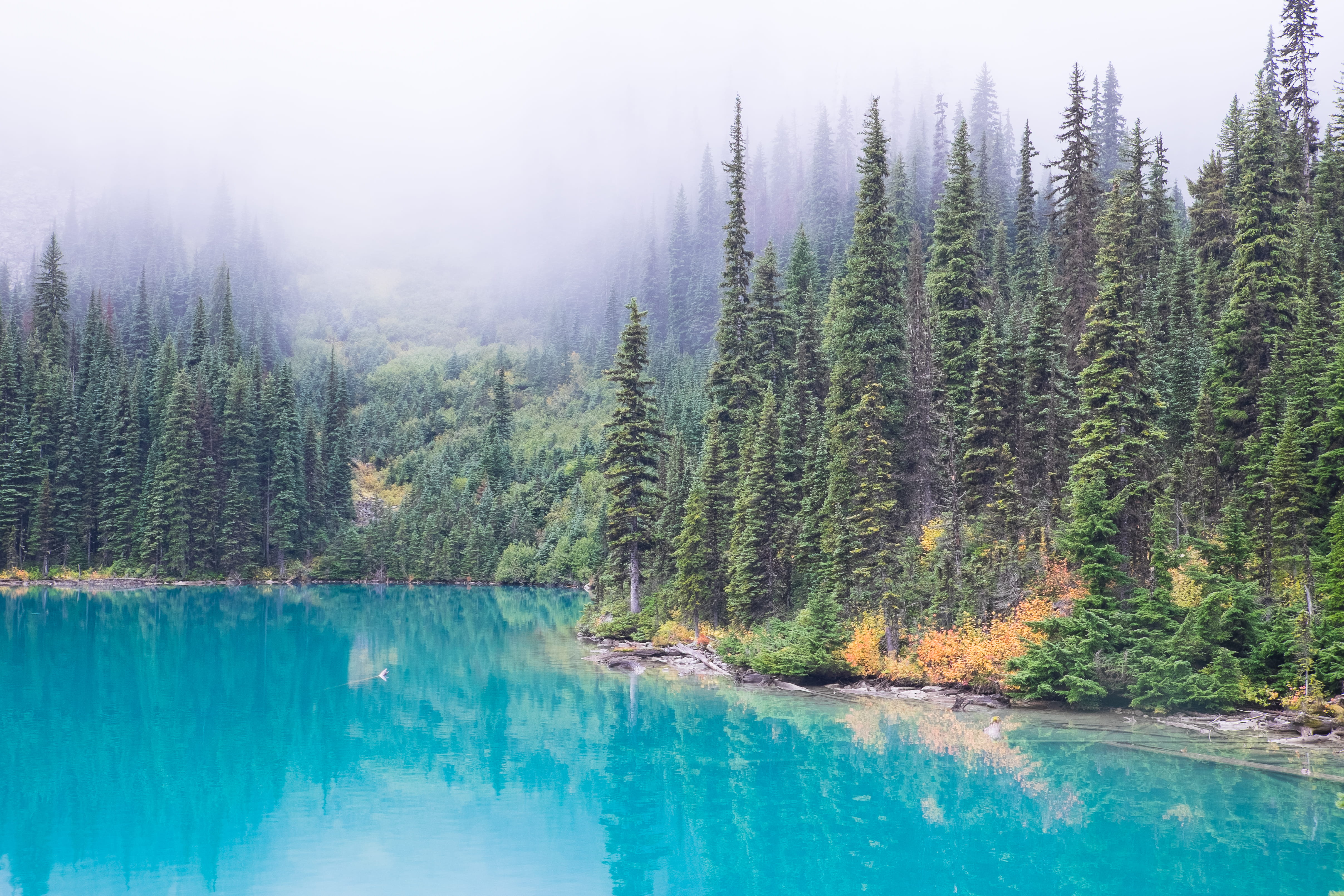 turquoise colored, mountain, british, beside, pine woodland, color Image, outdoors, reflection, green Color, plant, trees, summer, scenics, landscape, blue, HD Wallpaper