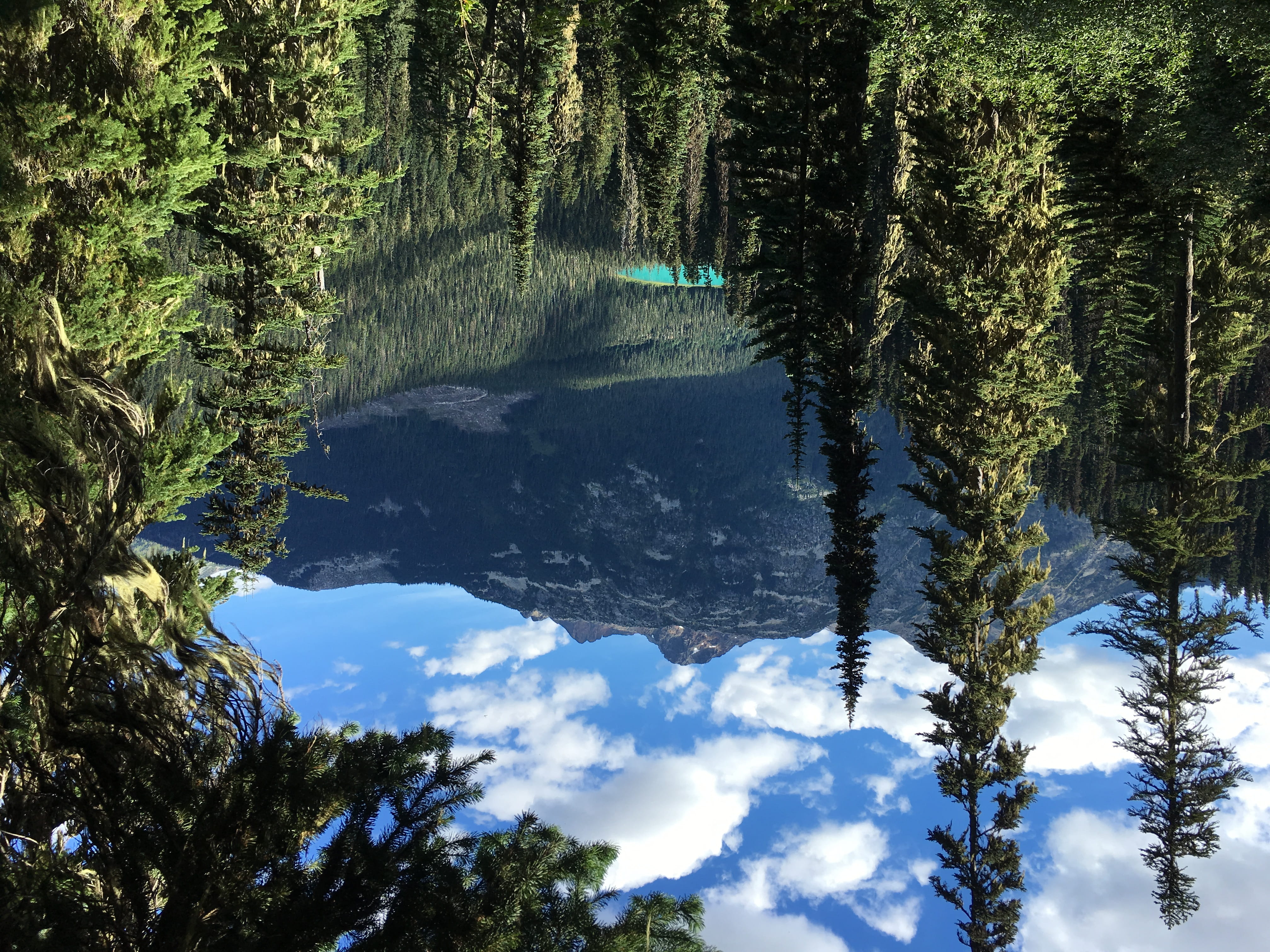 trunk, pool, cloud - sky, day, trees, fir, growth, mountain, green color, land, green, canada, mount currie, tree trunk, tree, beauty in nature, non-urban scene, HD Wallpaper