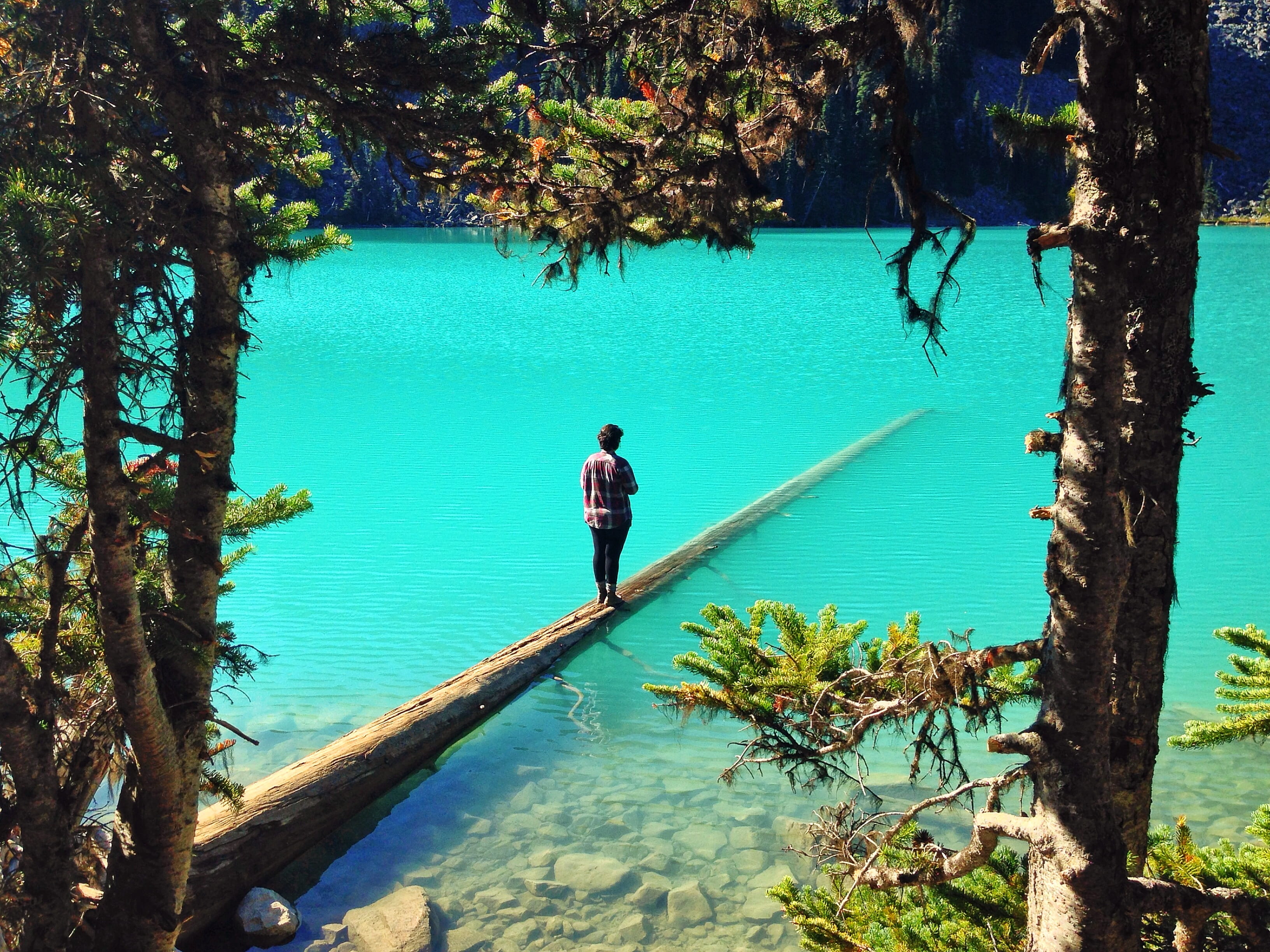 girl, one person, sea, lake, growth, day, rear view, glacier, tree trunk, plant, bc, tree, person, plaid, log, joffre lakes trail, joffre lakes, 2K, forest, HD Wallpaper