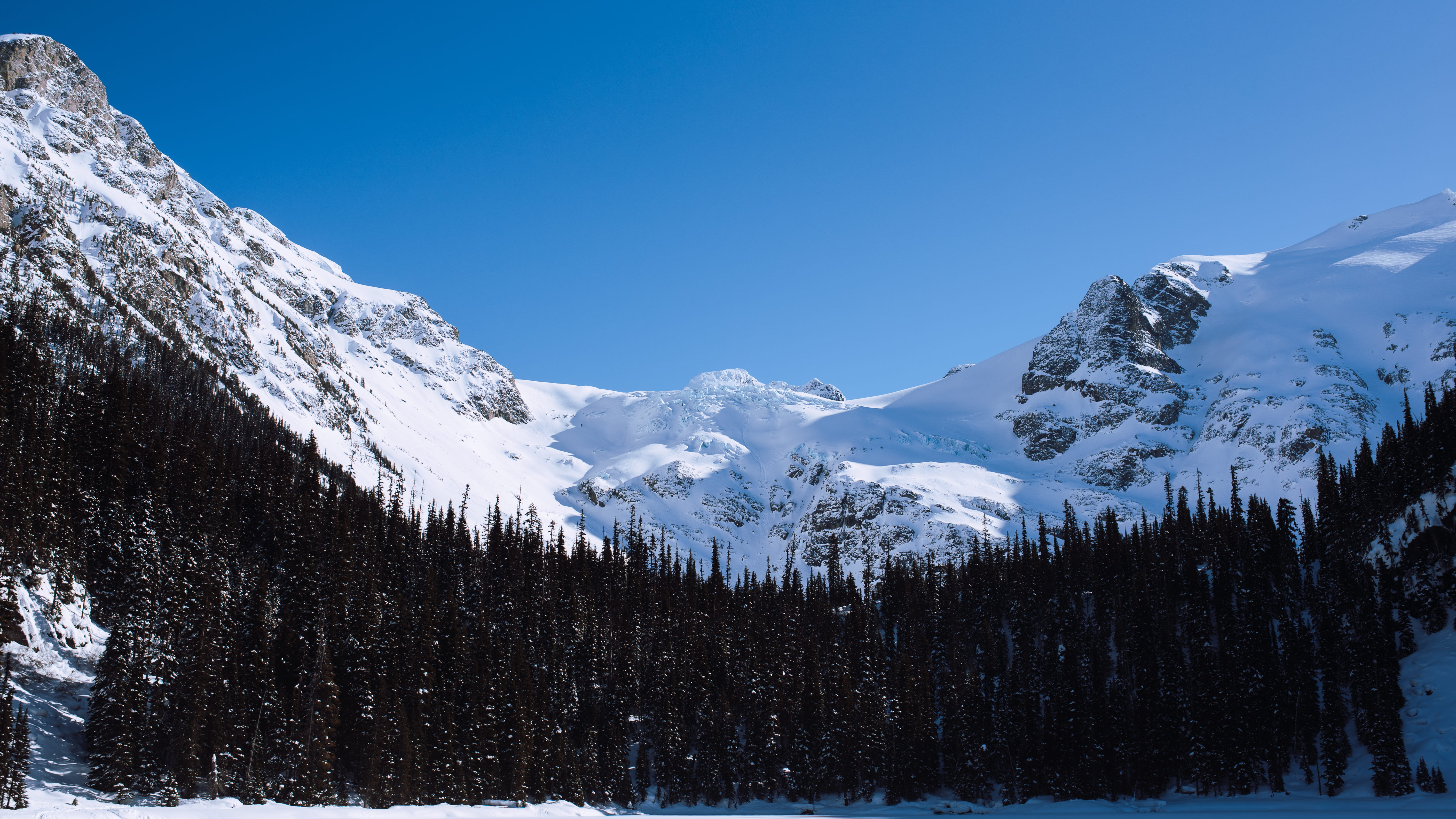 nature, tranquil scene, 5K, snow, nikon, landscape, snowcapped mountain, trees, cold temperature, beautiful, tranquility, mountain range, day, HD Wallpaper