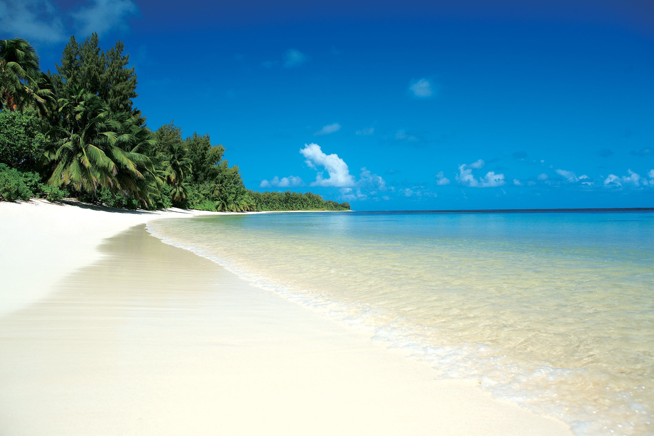 travel Destinations, tourism, maldives, scenics, plant, tropics, journey, coastline, tourist Resort, island, white, bay Of Water, tropical Climate, tree, HD Wallpaper