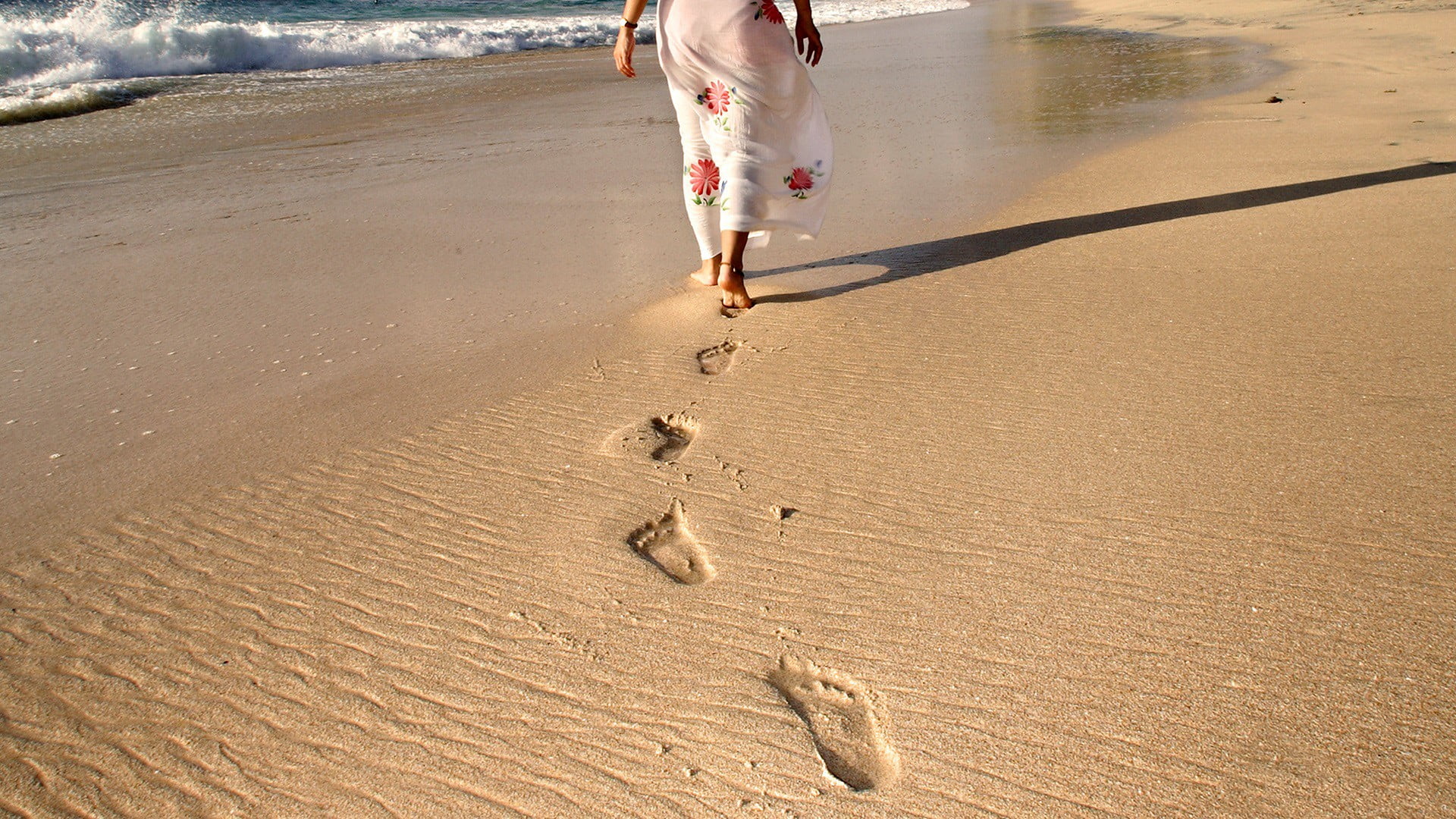 nature, walking, footprint, one animal, s, outdoors, women, body part, mammal, 1080P, domestic animals, red, domestic, low section, sand, running, people, HD Wallpaper