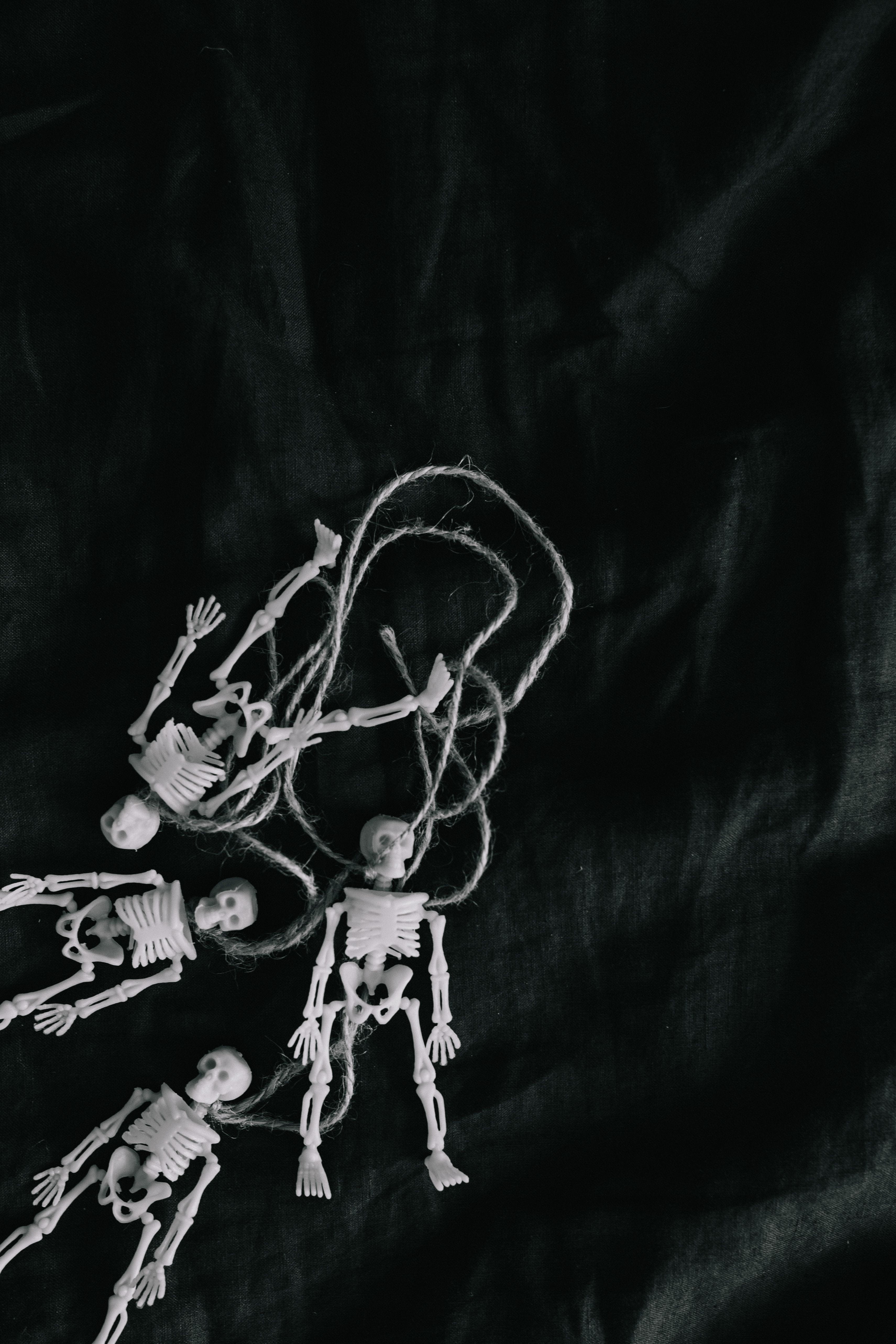 human skeleton, fear, toy, blackboard, night, close-up, halloween, bones, trick or treat, indoors, celebration, still life, anatomy, skull, biology, no people, Phone HD Wallpaper