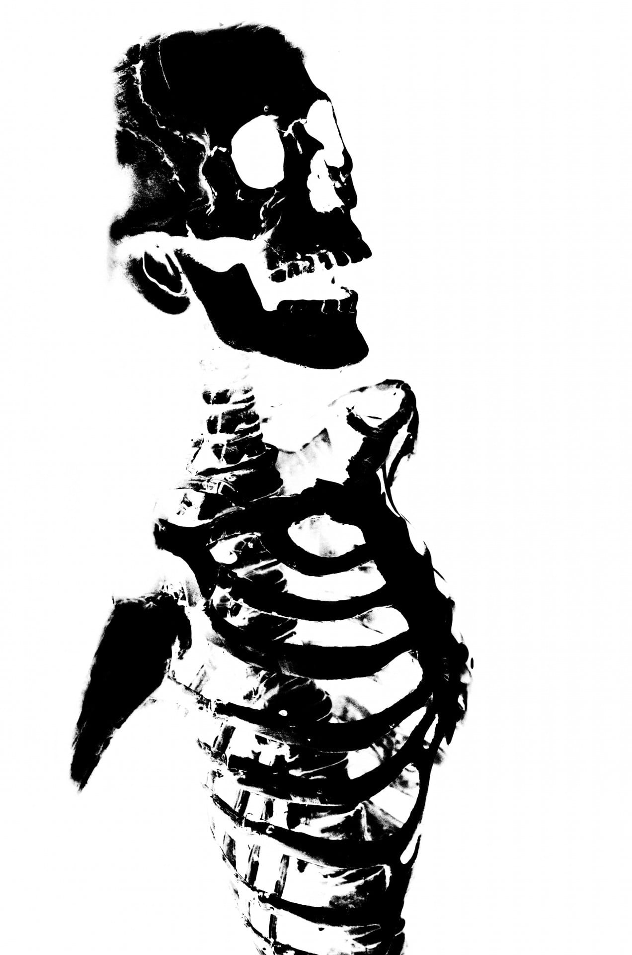 people, representation, illustration, holidays, halloween, studio shot, 1080P, human skeleton, cut out, human body part, human, human representation, white, Phone HD Wallpaper