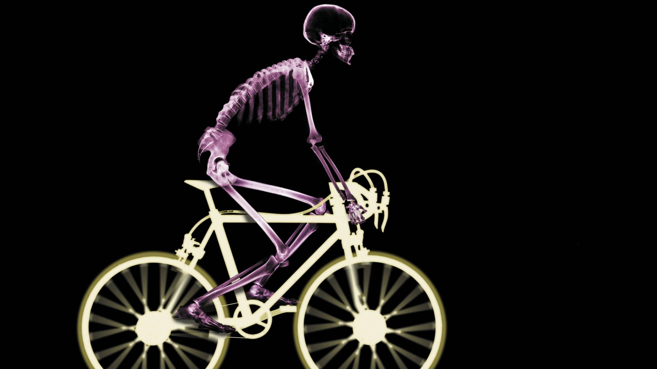 single object, studio shot, black background, pink color, 2K, skeleton, nature, creativity, x-rays, people, cut out, purple, night, motion, wheel, sport, HD Wallpaper