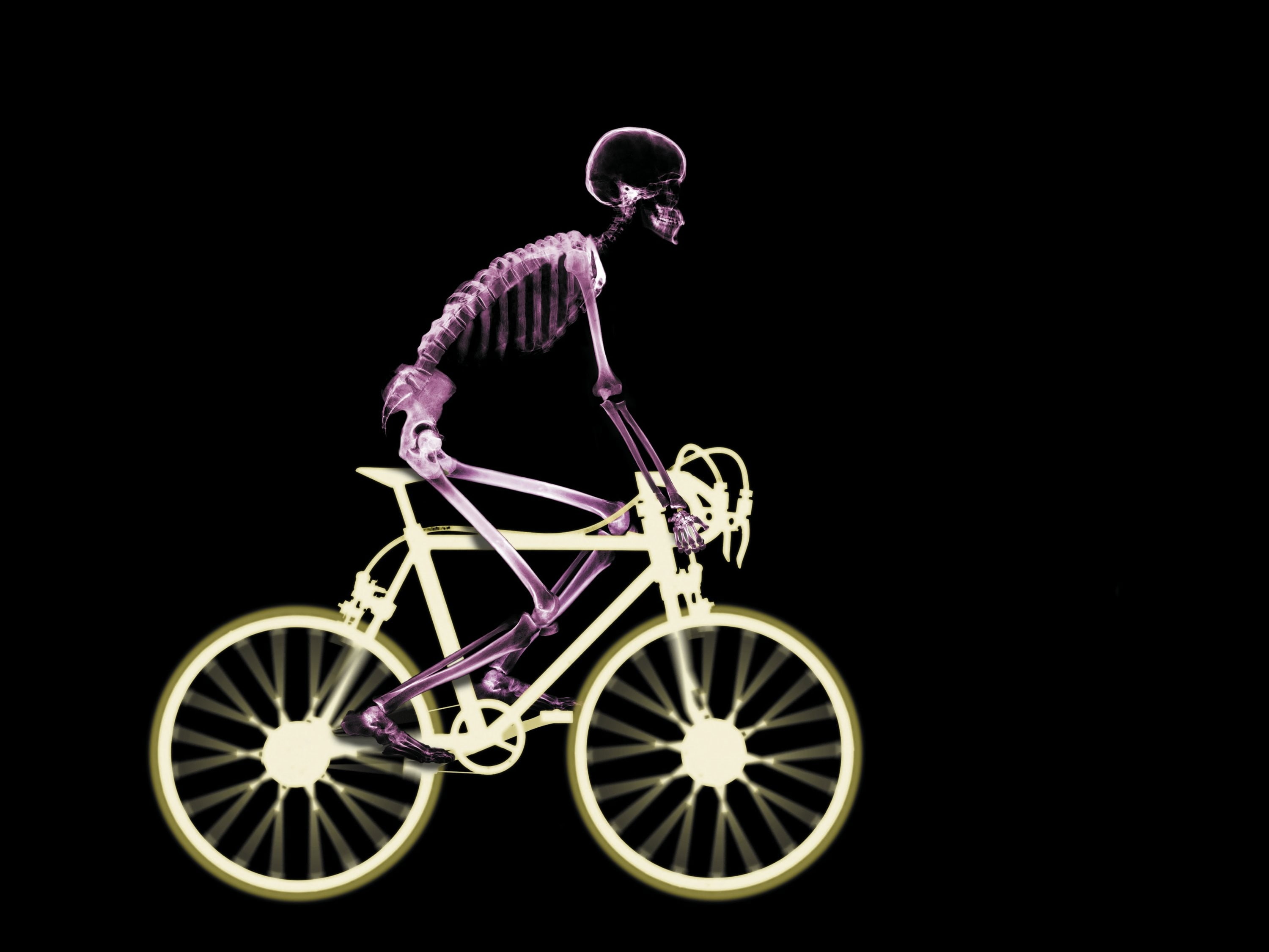 white, single object, copy space, cut out, geometric shape, cycling, shape, wheel, extreme Sports, black Background, land vehicle, silver colored, bike, HD Wallpaper