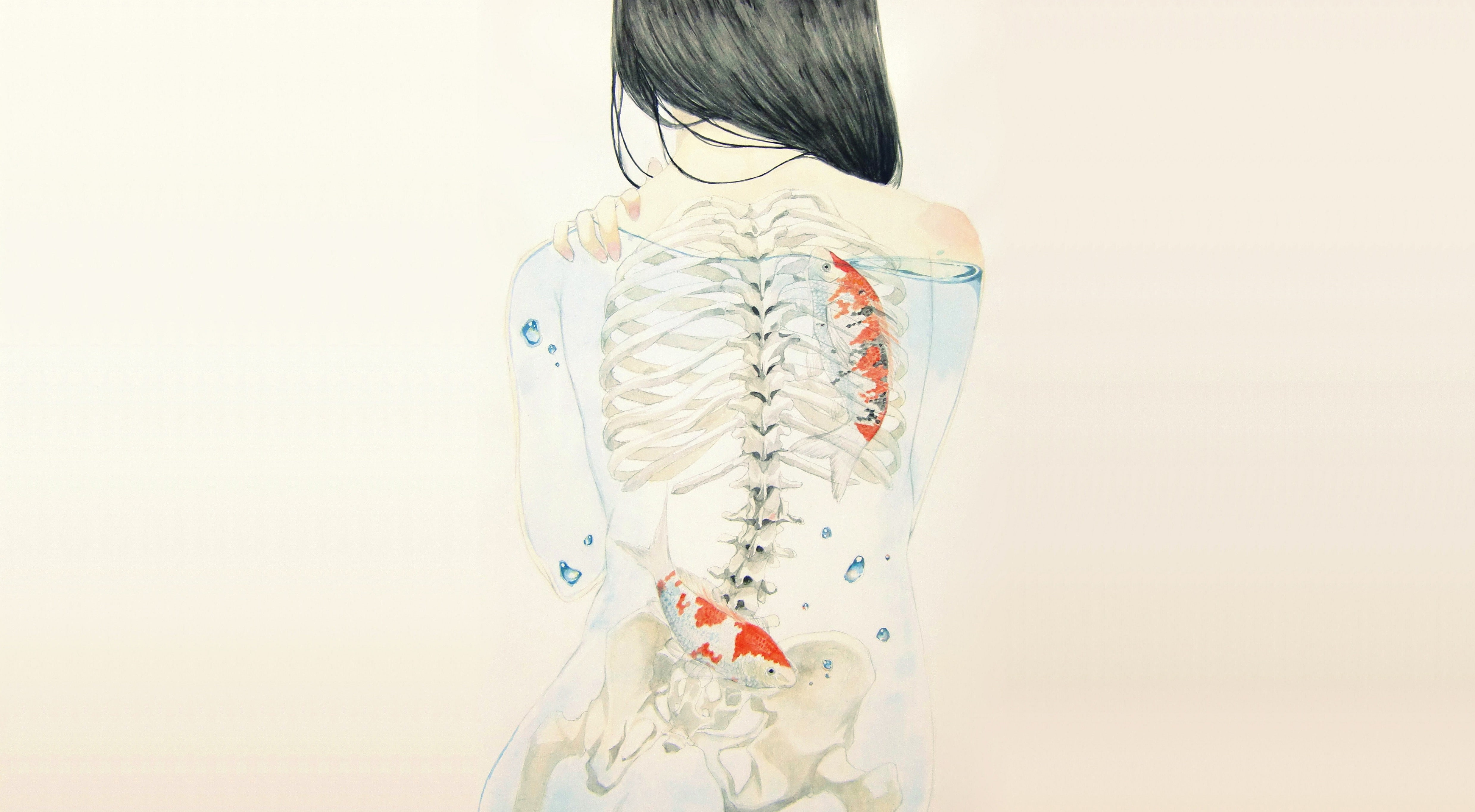 back, skeleton, x-rays, drawing, artwork, 4K, fish, rear view, HD Wallpaper