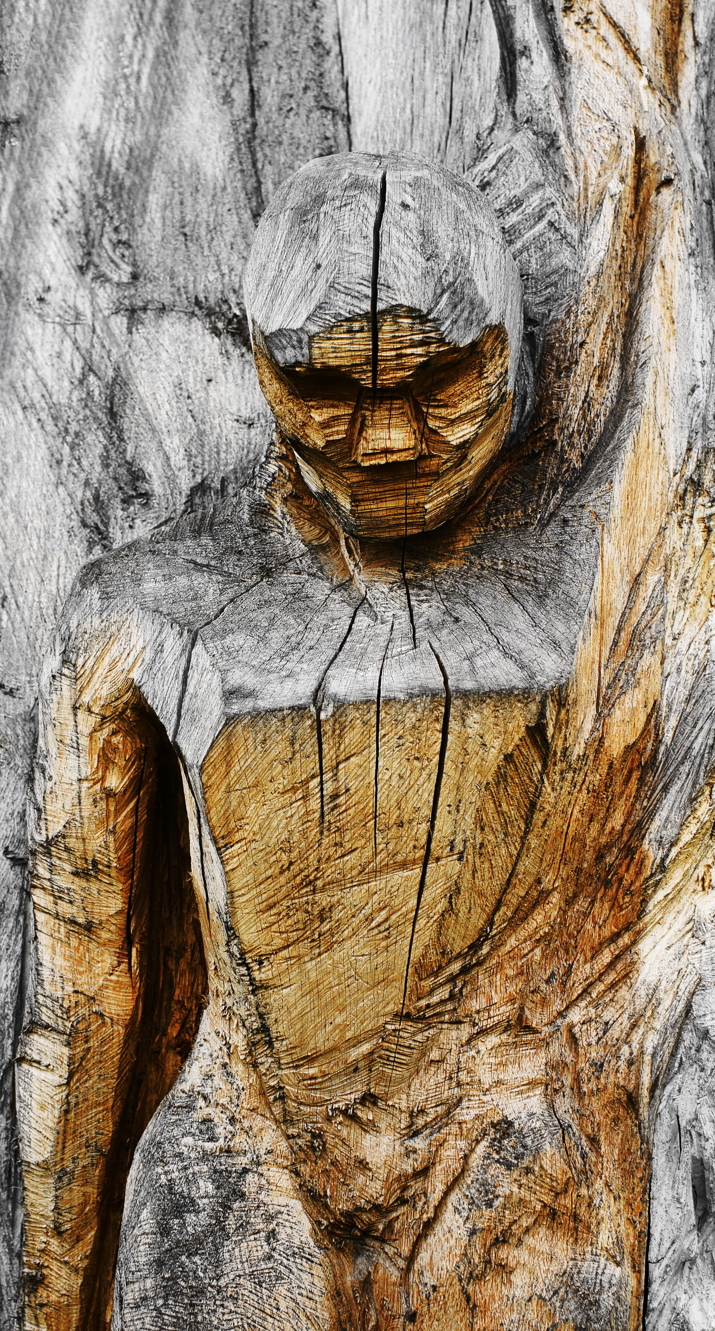 tree, plant, tree trunk, figure, wood, human, faded, trunk, nature, sculpture, no people, decor, cracked, dehydrated, trim, sculptor, art, wood - material, Phone HD Wallpaper