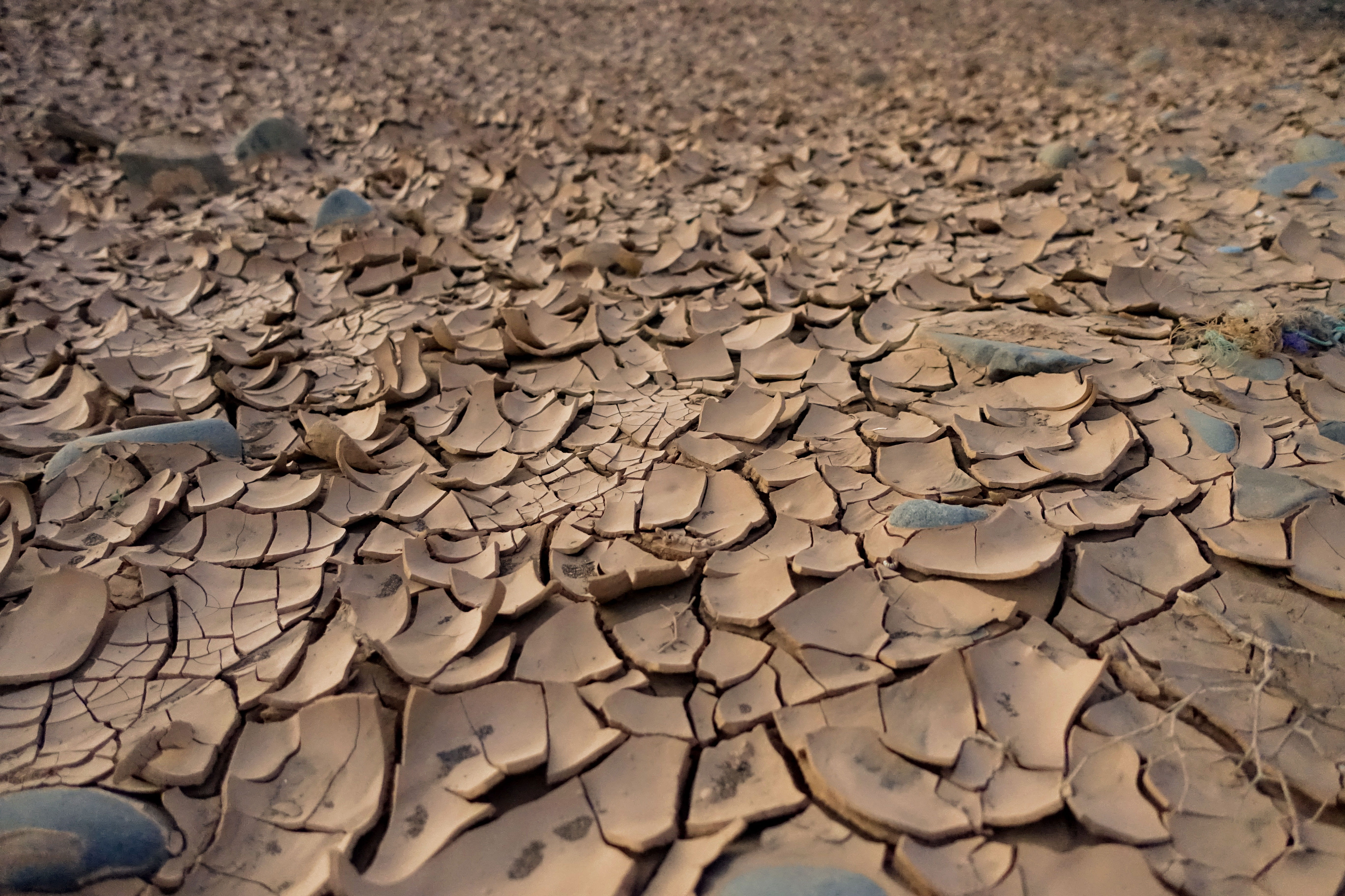 barren, clay, cracks, arid, ground, high angle view, arid climate, landscape, famine, sand, dry, climate, full frame, texture, desert, day, soil, drought, HD Wallpaper