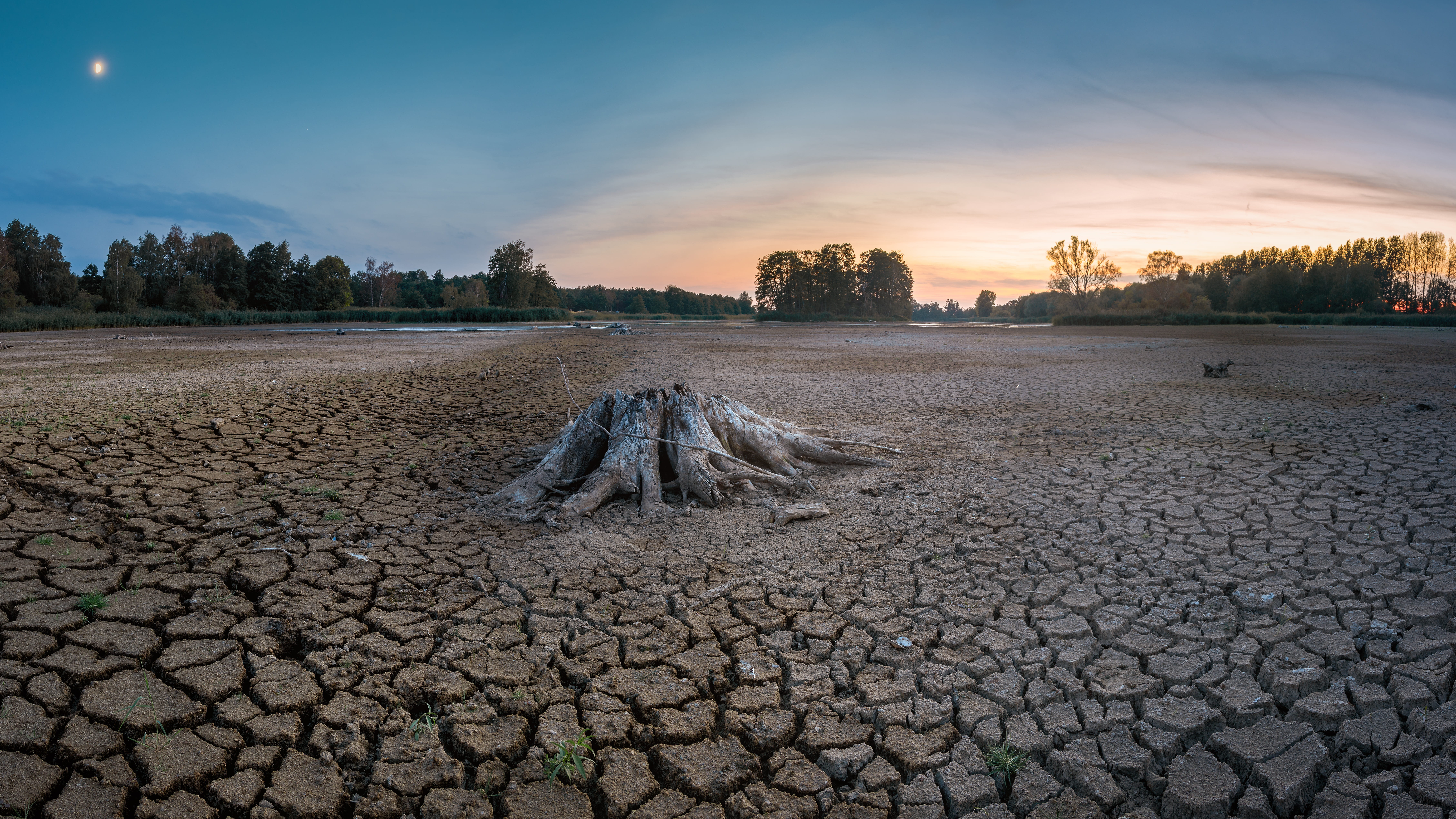 no people, arid climate, dry, nature, 8K, root, weathered, old, tree, outdoors, landscape, sunset, day, field, plant, non-urban scene, beauty in nature, HD Wallpaper