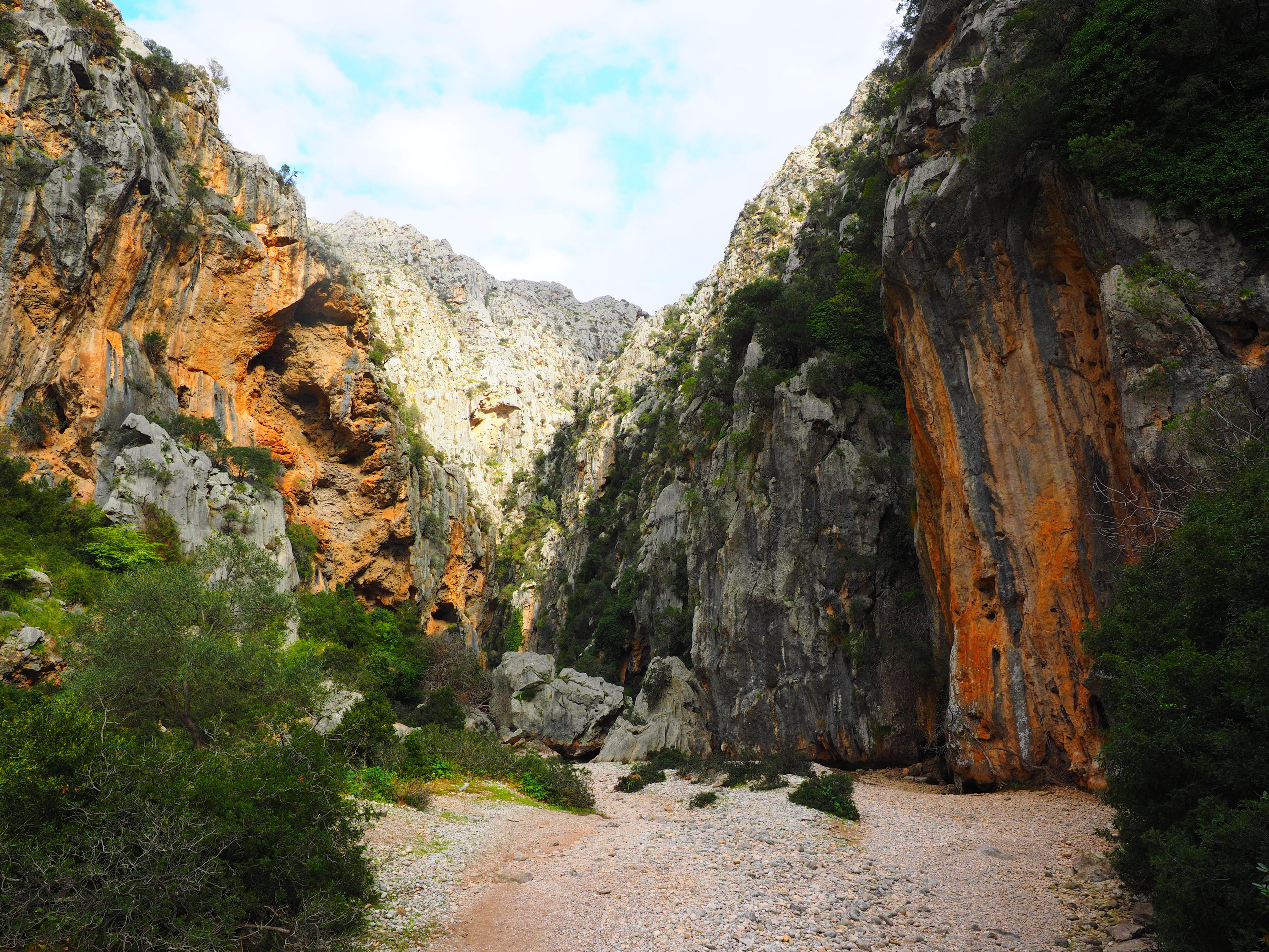 eroded, plants, Torrent, cliff, sky, plant, Riverbed, remote, rock formation, leafed, solid, tranquility, torrent pareis, physical geography, tranquil scene, HD Wallpaper