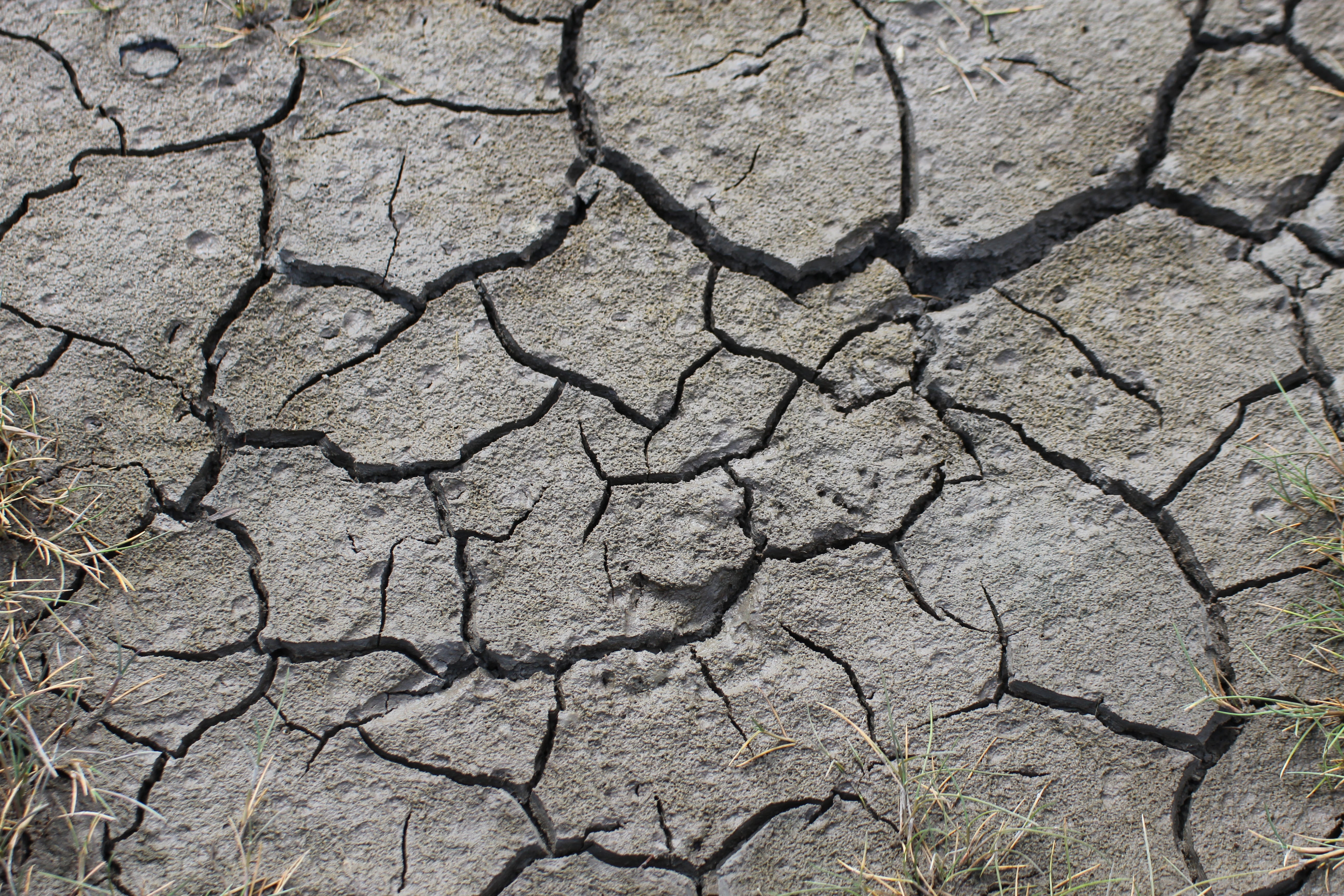 textured, earth, arid climate, no people, soil, natural pattern, cracked, scenics - nature, land, dirt, field, dry, nature, drought, day, close, pattern, HD Wallpaper