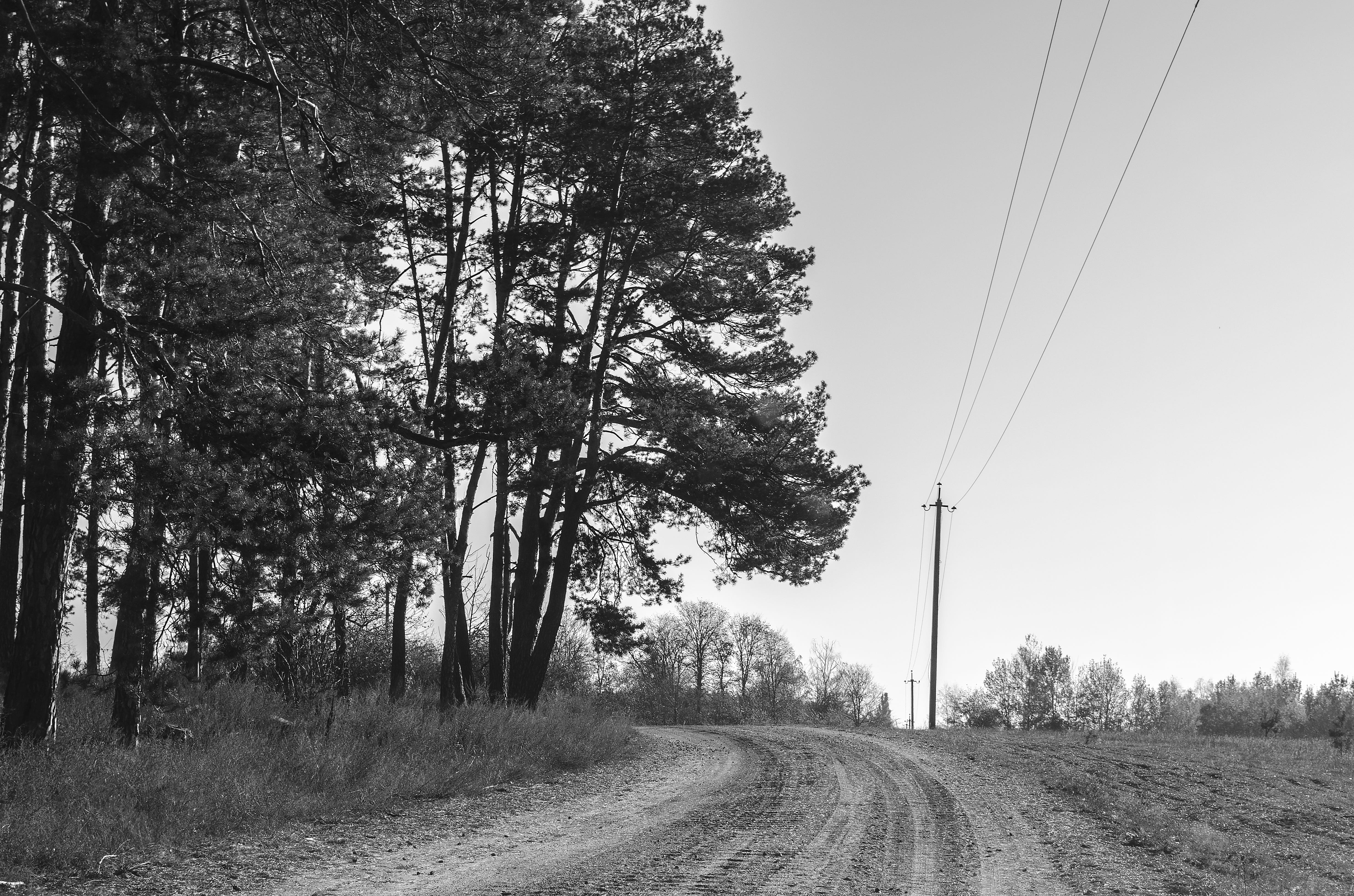 Road, Bankrupt, diminishing perspective, landscape, nature, electricity pylon, relationship, outdoors, telephone line, the way forward, transportation, HD Wallpaper