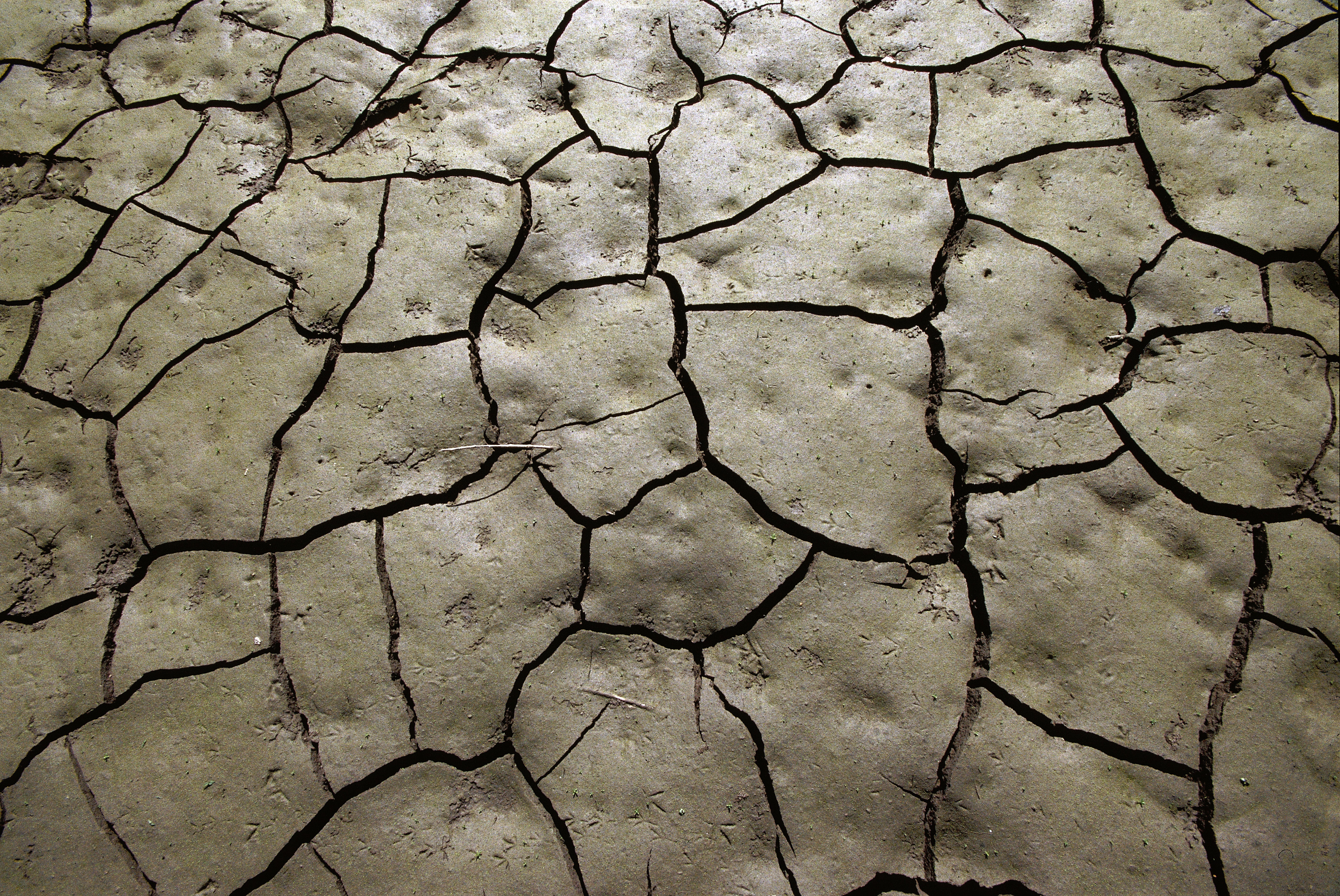 climate, environment, desert, 5K, full frame, textured, high angle view, brown, drought, field, scenics - nature, extreme terrain, earth, arid climate, HD Wallpaper