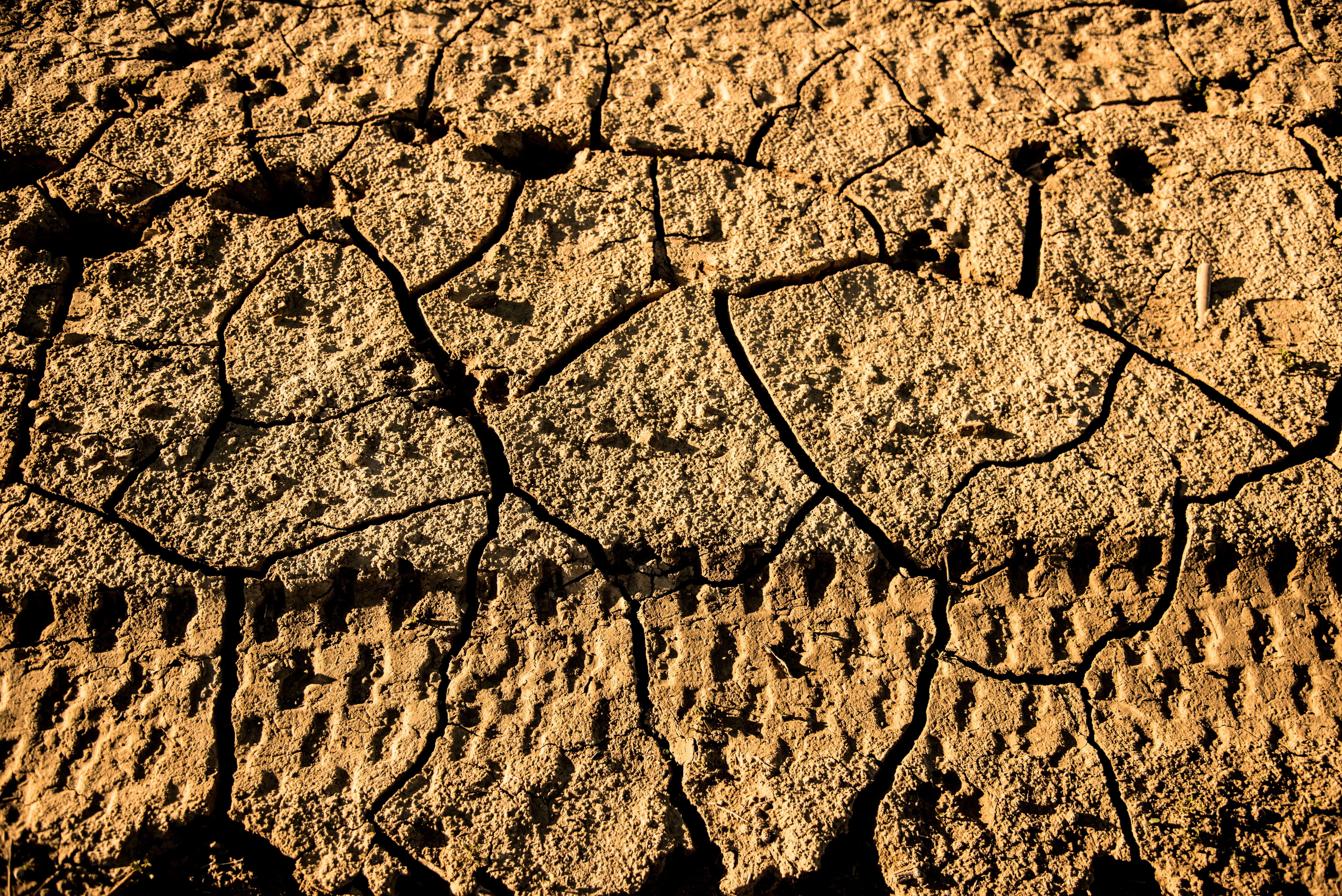 broken, earth, cracked, soil, nature, 5K, close-up, footprints, drought, climate, land, dry, full frame, sunlight, mud, cracks, quartered, high angle view, HD Wallpaper