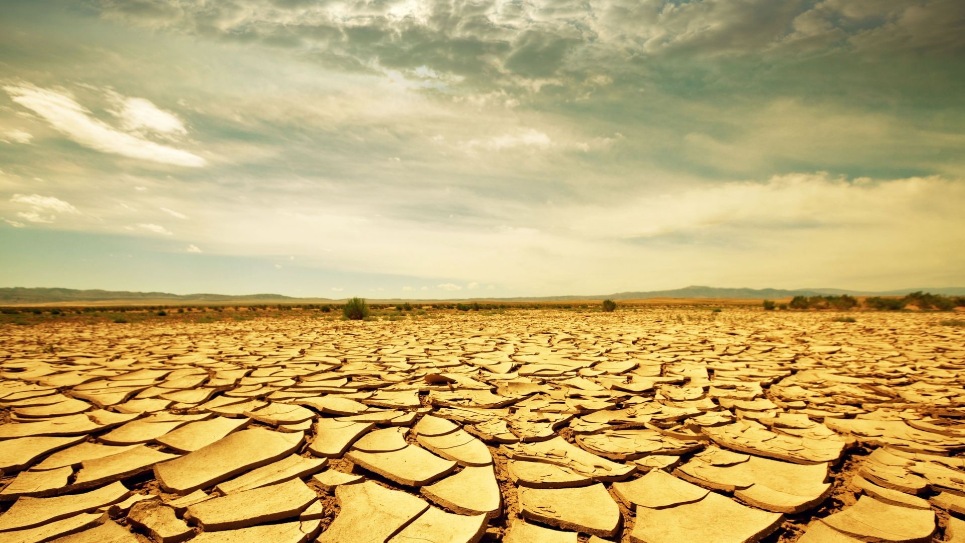 nature, bed, dry, lake, desert, 1080P, cracked, hd, HD Wallpaper