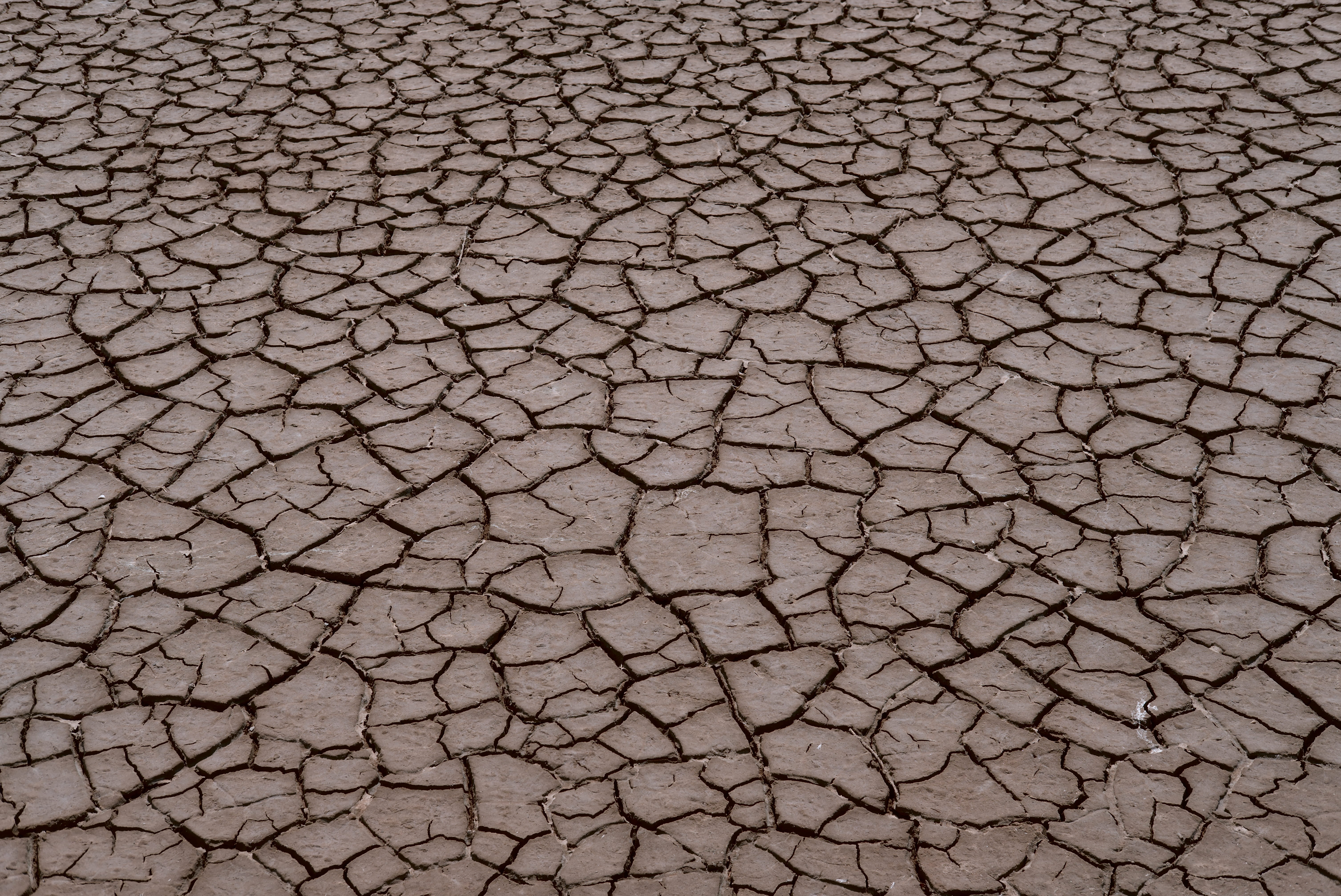 dried, day, drought, clay, mud, dry, minimal, field, industry, environment, no people, outdoors, extreme terrain, gray, outside, land, arid climate, south, HD Wallpaper
