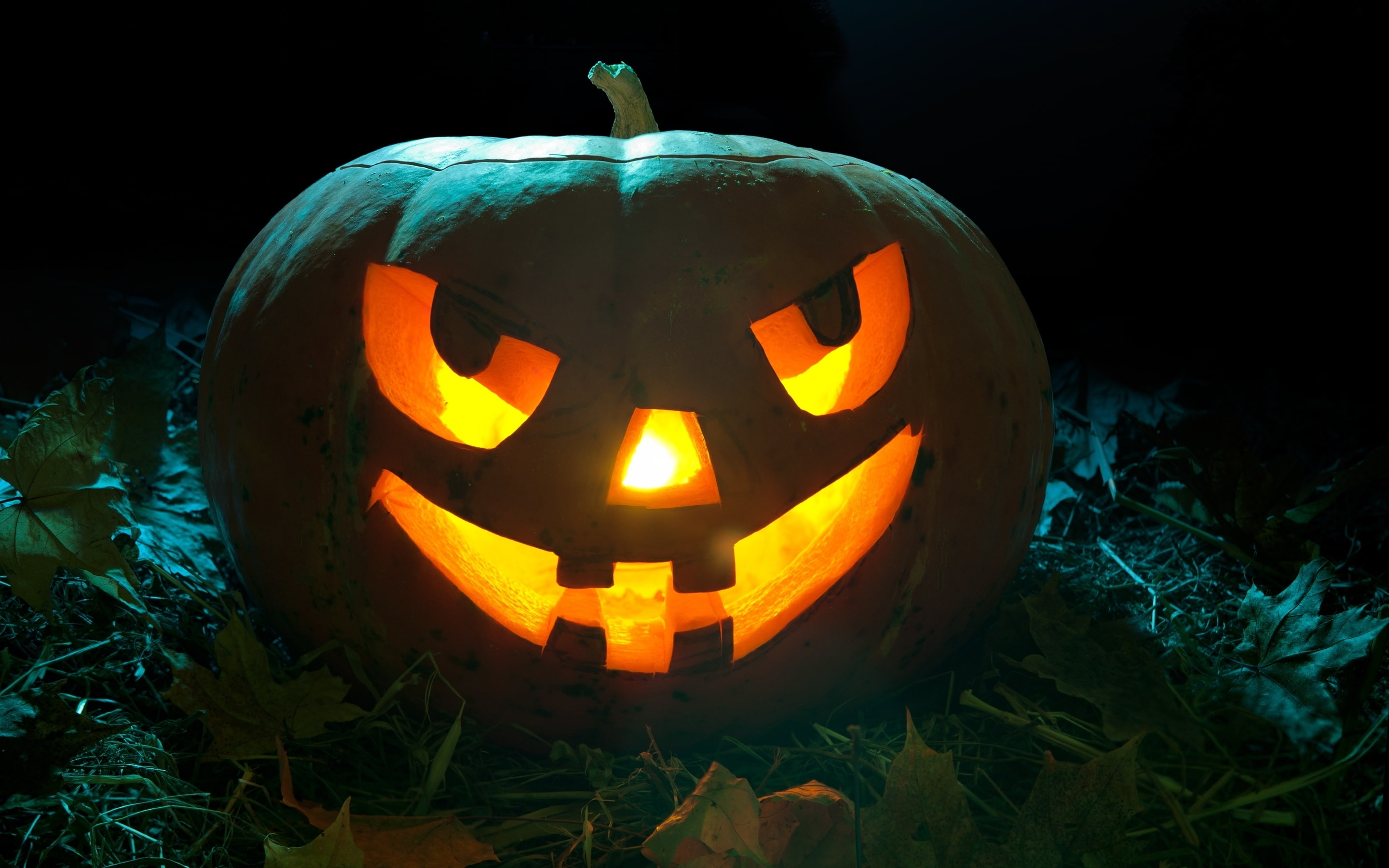 scary, scary face, 2K, pumpkin light, pumpkin, HD Wallpaper