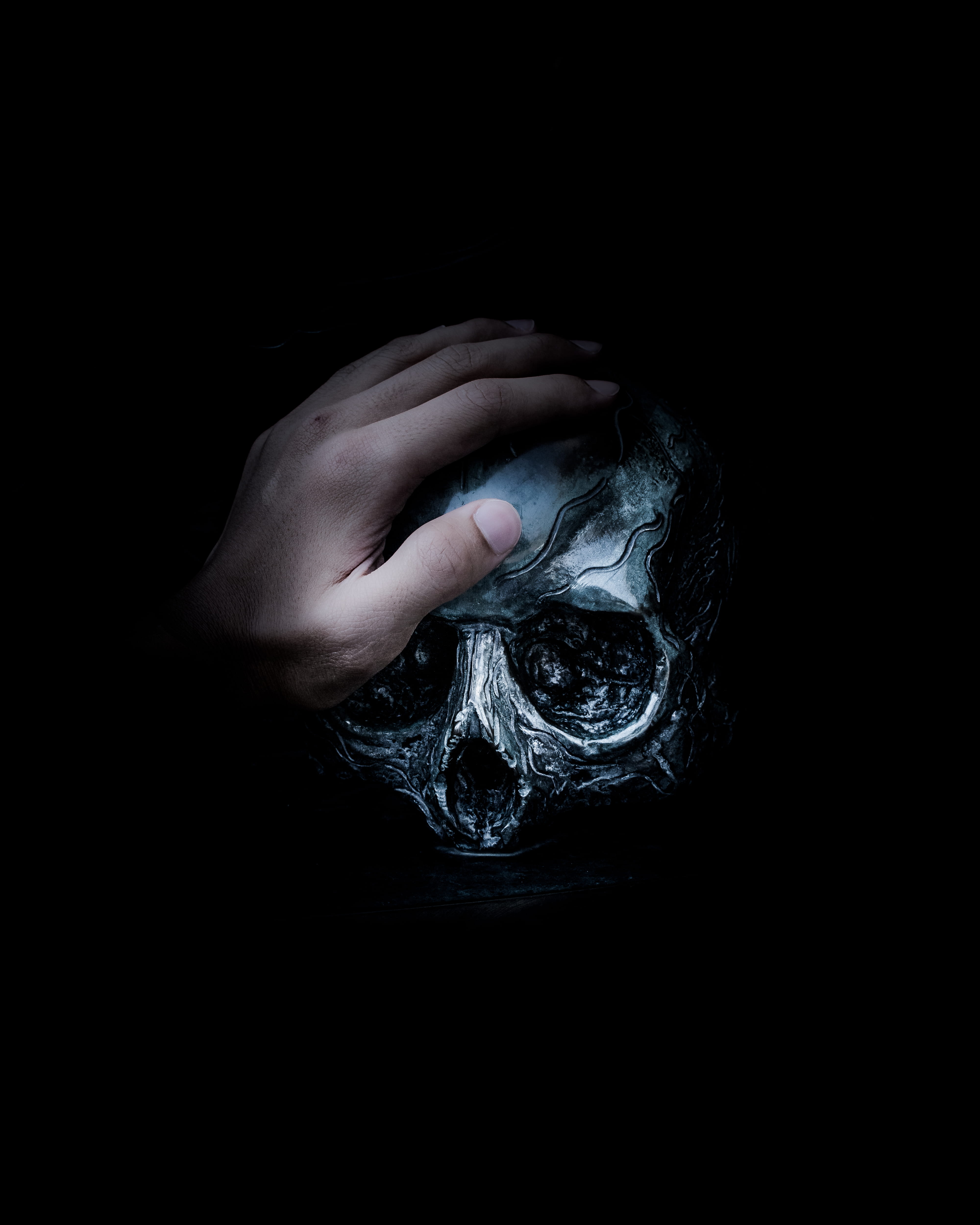 human, light, black, hand, copy space, cut out, indoors, close-up, unrecognizable person, one animal, mood, human limb, night, finger, 4K, human finger, Phone HD Wallpaper