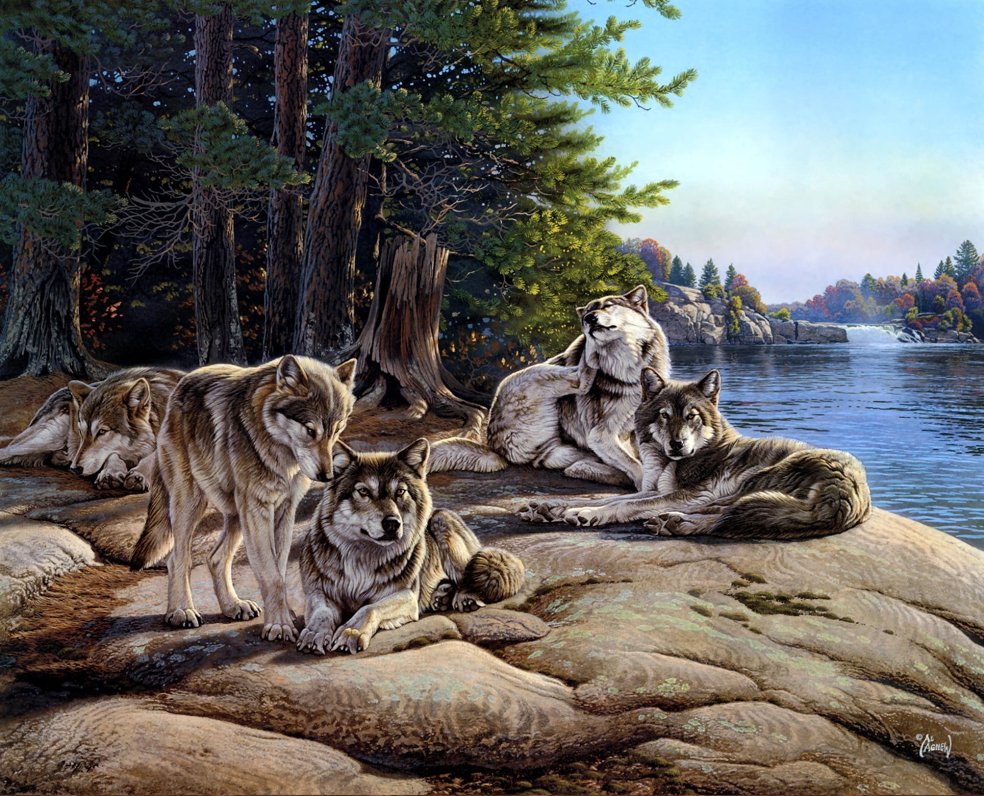 nature, pack, sculpture, animals In The Wild, relaxation, wolves, rock, feline, animal, animal Themes, wildlife, 1080P, two Animals, forest, animal wildlife, HD Wallpaper