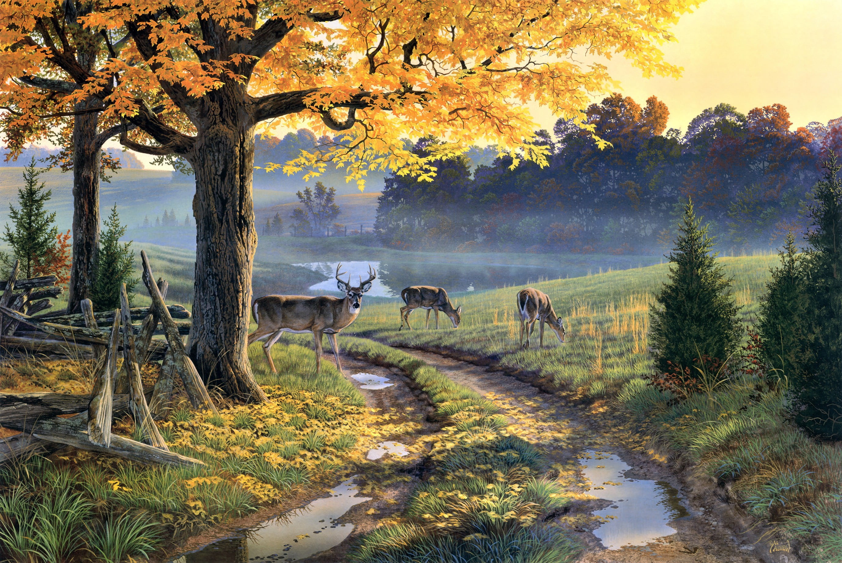 brown, meadow, three, horse, animal themes, tranquil scene, scenics, grazing, domestic, land, vertebrate, domestic animals, lake, puddles, scenics - nature, HD Wallpaper