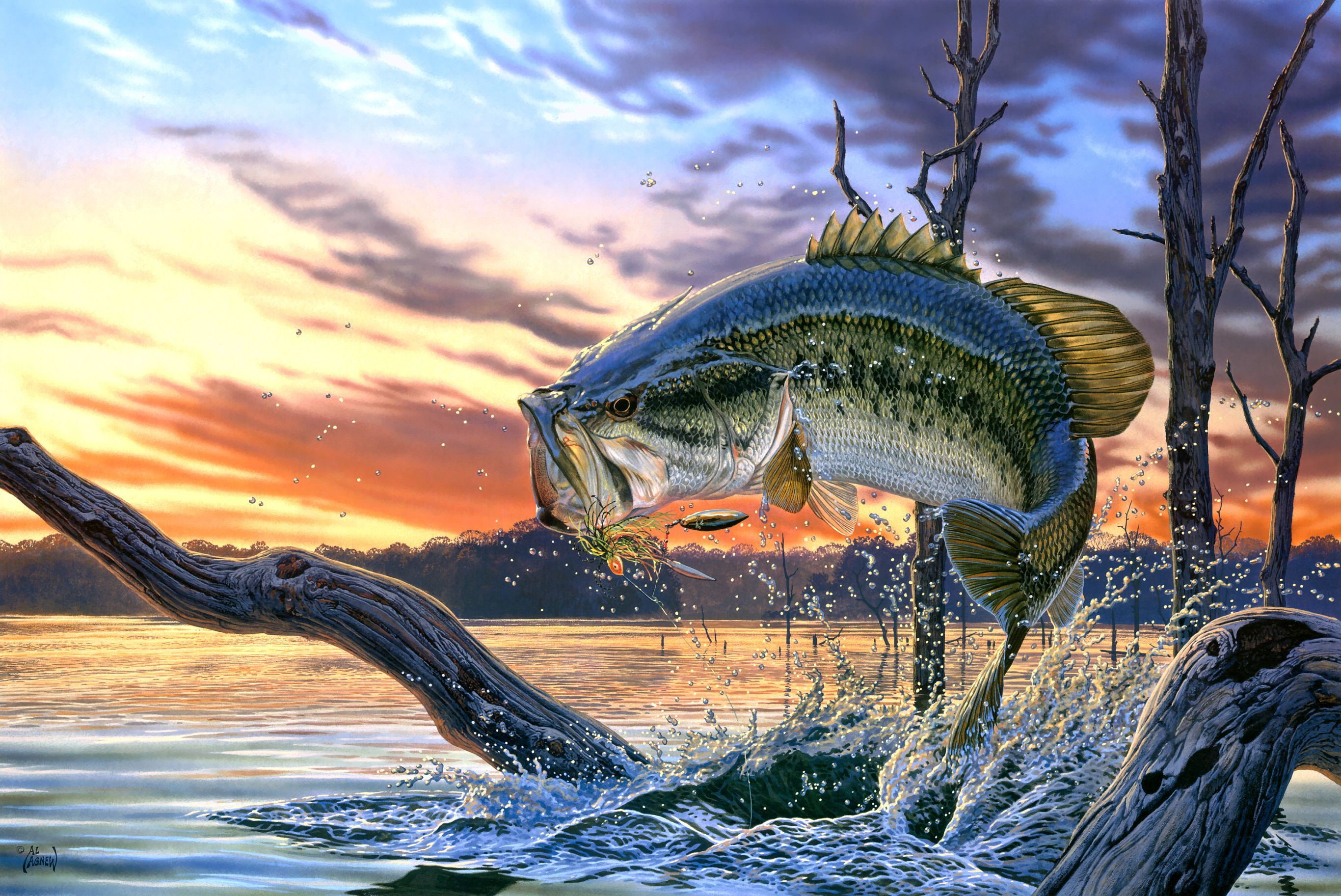 large, sky, animal themes, animal wildlife, perch, no people, close-up, cloud - sky, animal, animal representation, water, reptile, freshwater, gray, Al Agnew, HD Wallpaper