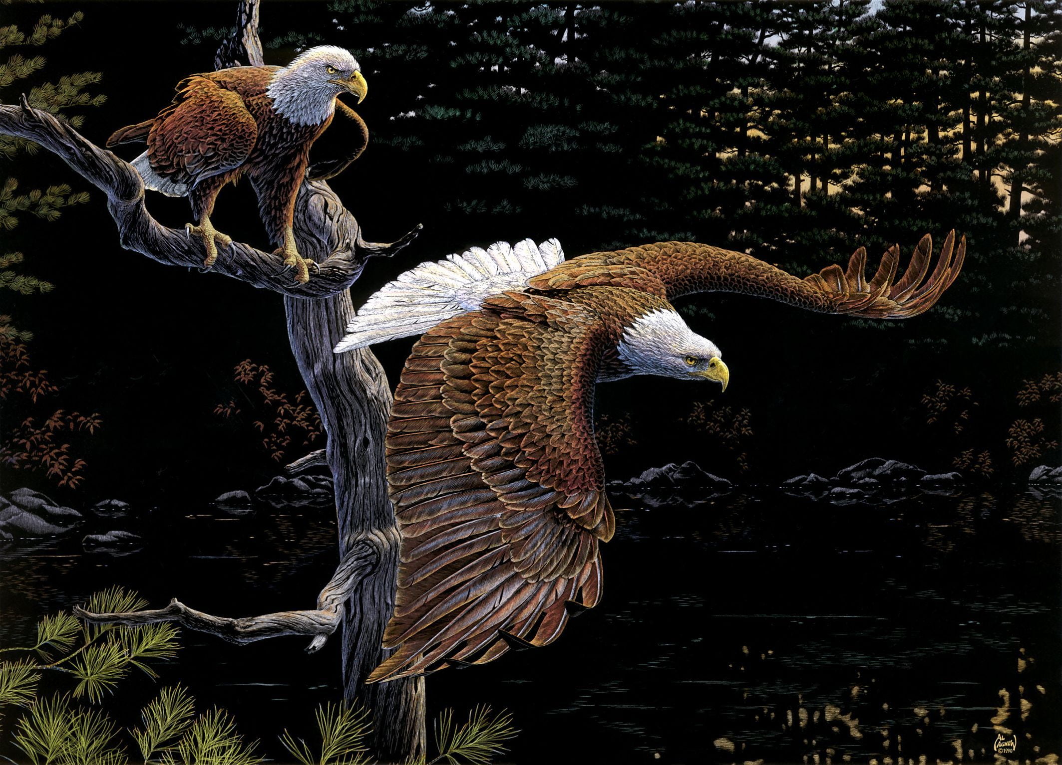 focus on foreground, birds, eagles, animal themes, plant, bird, bird of prey, bald, close-up, vertebrate, the eagles, 1080P, animals in the wild, high angle view, HD Wallpaper