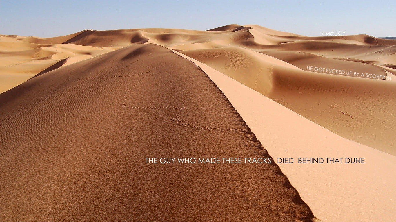 scenics - nature, text, nature, no people, western script, land, landscape, pattern, sky, travel, environment, fuckscape, day, travel destinations, sand dune, HD Wallpaper