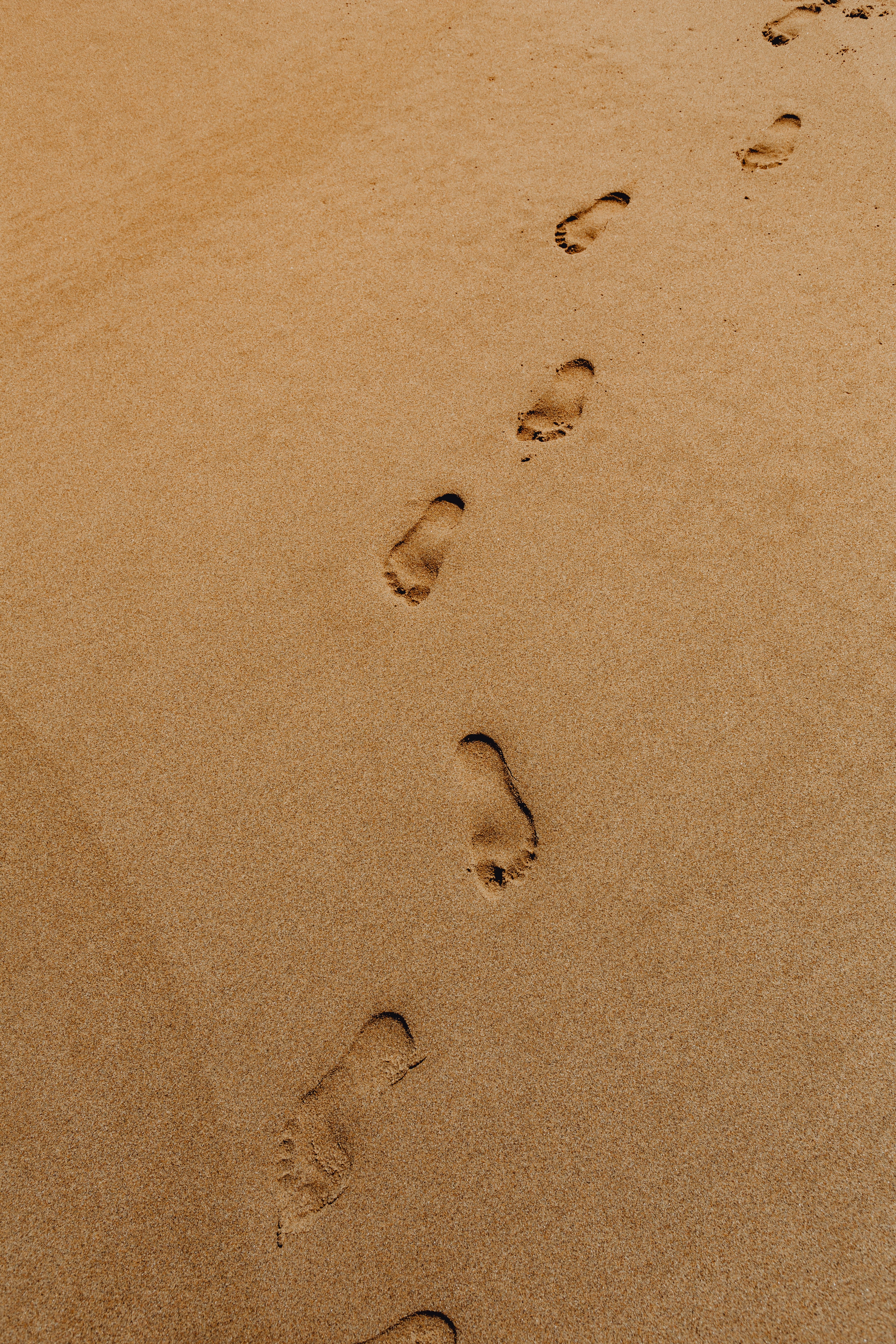 ocean, day, Europe, track - imprint, algarve, land, print, animal track, shore, paw print, foot, pattern, beach, wet, portugal, mystery, footprint, summer, Phone HD Wallpaper