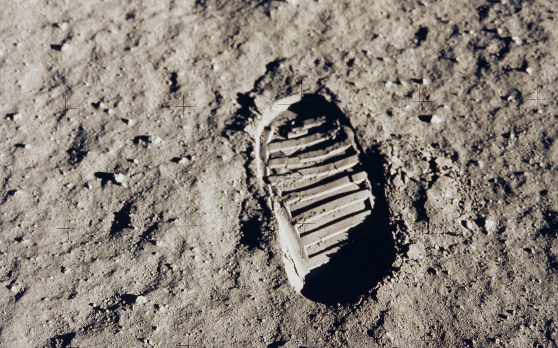 NASA, Moon, 1080P, land, sunlight, high angle view, close-up, footprint, dirt, brown, day, nature, print, foot, sand, animal wildlife, beach, landing, HD Wallpaper
