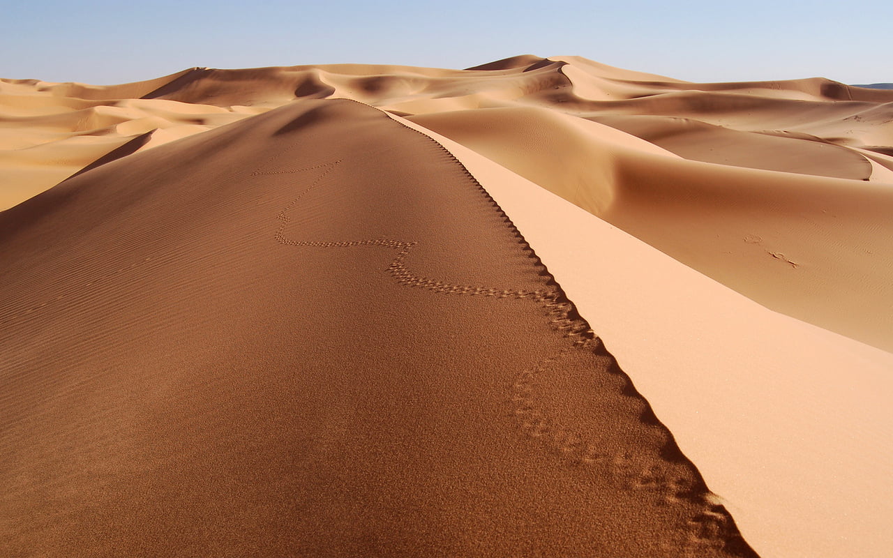 day, sand dune, environment, tranquility, non-urban scene, dune, tranquil scene, atmospheric, arid climate, sand, no people, landscape, tracks, beauty in nature, HD Wallpaper