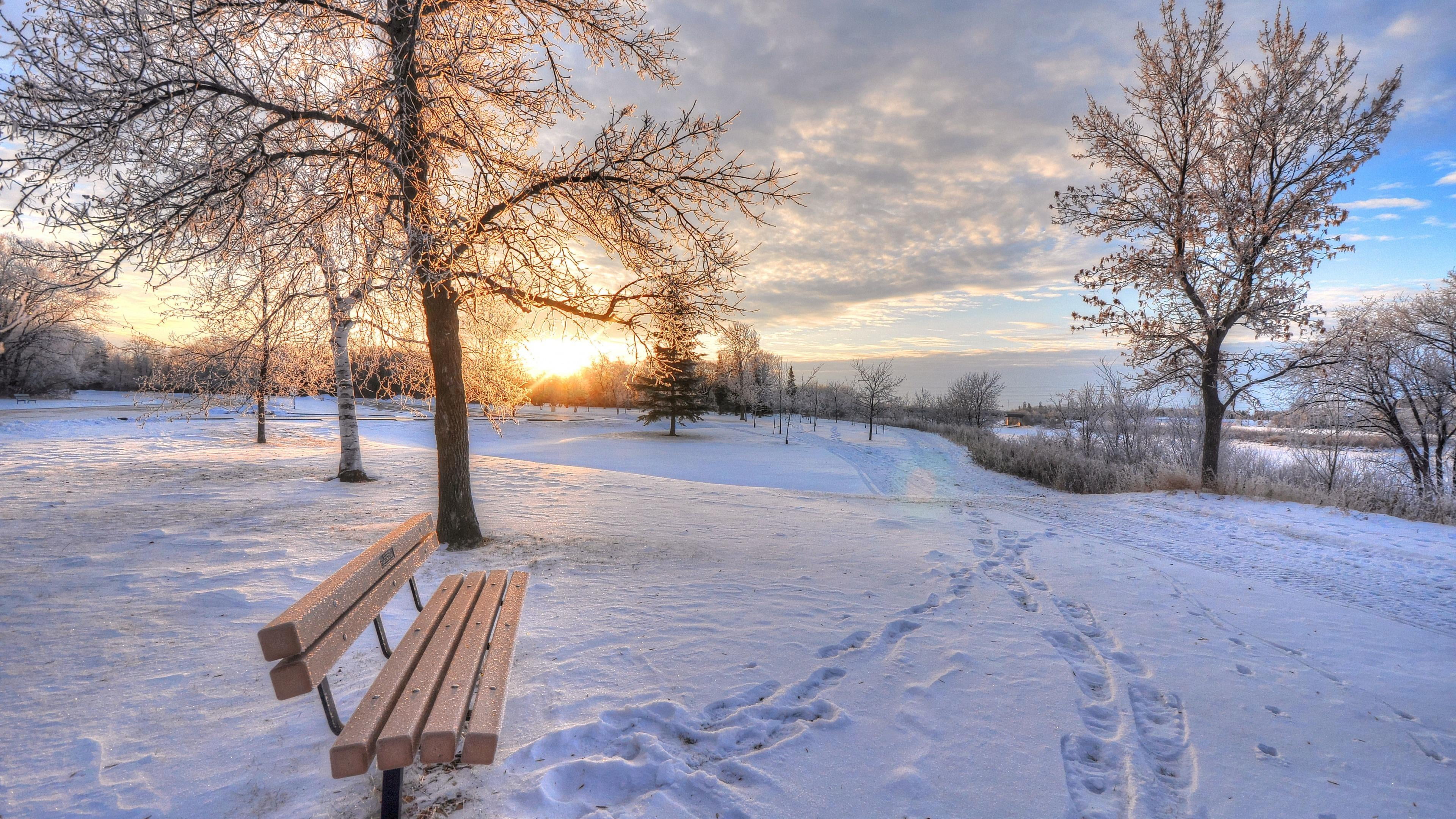 sunset, sunrise, white color, tree, winter, tranquil scene, land, bench, nature, park, scenics - nature, outdoors, environment, plant, tranquility, footprints, HD Wallpaper