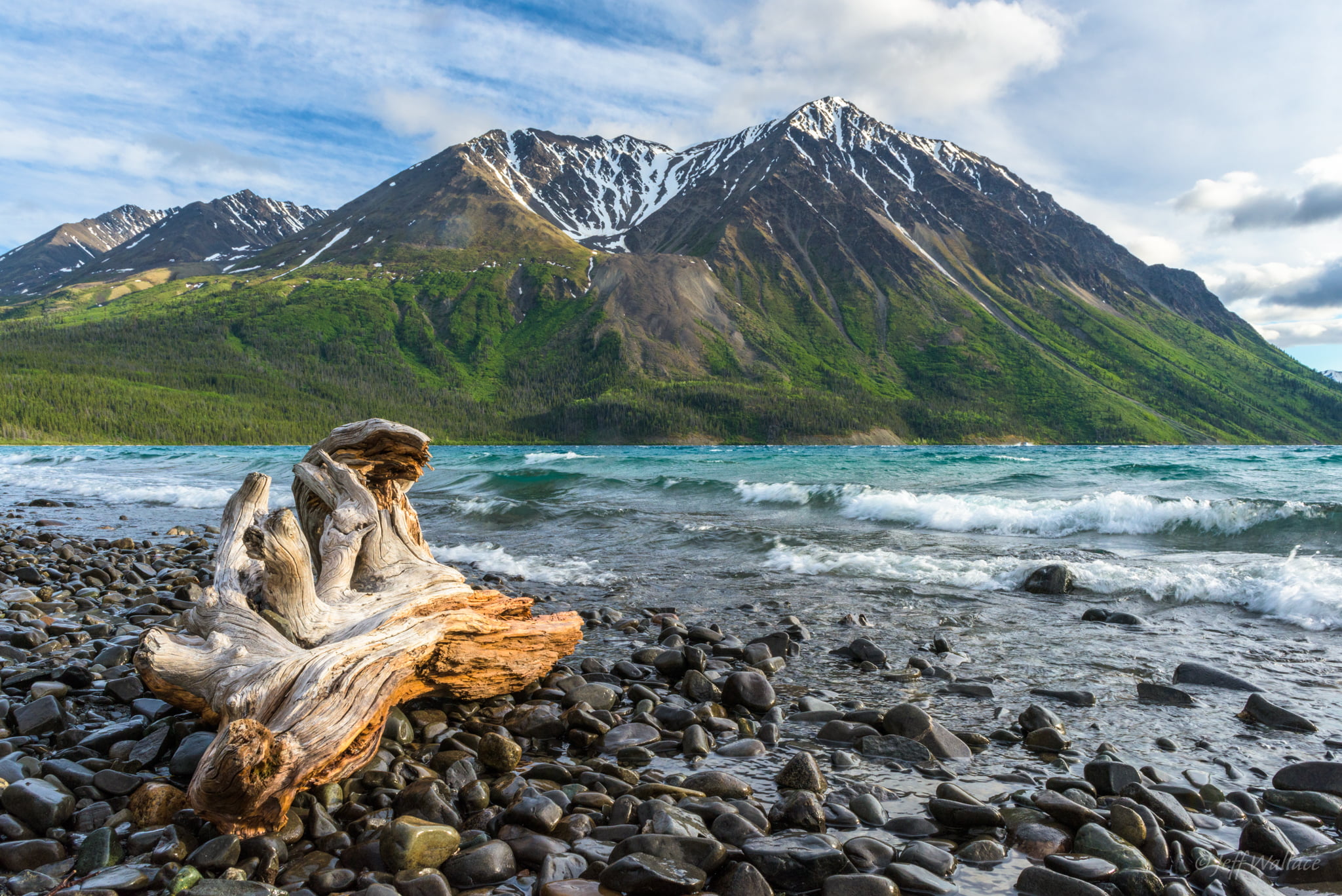 lake, Kluane  National  Park, driftwood, nature, 1080P, CA, Yukon Territory, beach, scenics, water, Kings, travel, outdoors, rescue, Throne, lake  peak, HD Wallpaper