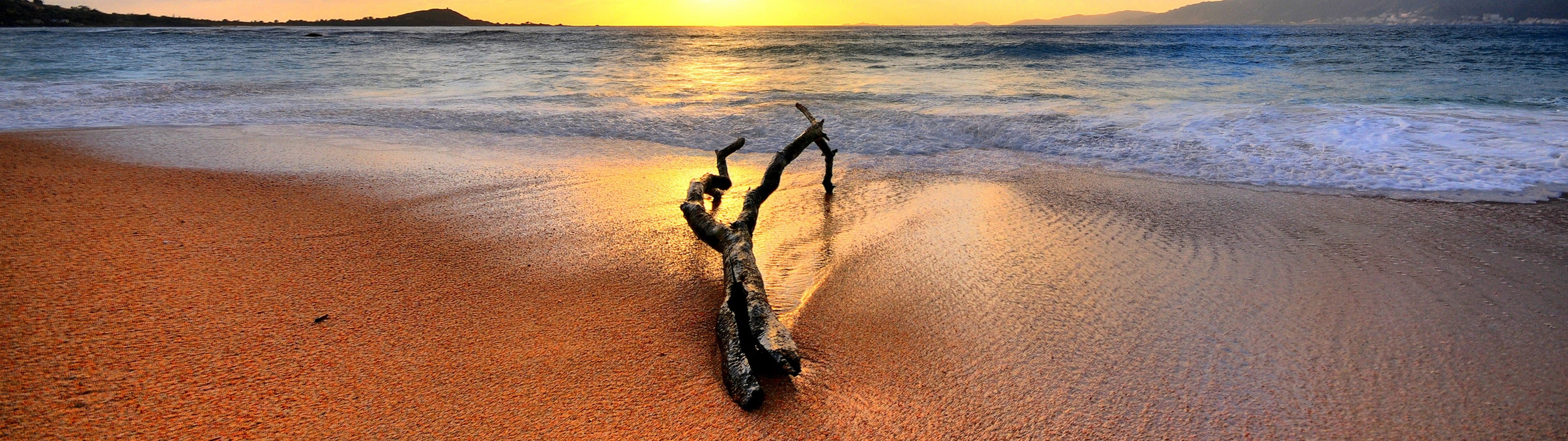 scenics - nature, driftwood, animal wildlife, 4K, outdoors, water, aquatic sport, sunset, brown, high angle view, nature, multiple display, beach, no people, HD Wallpaper
