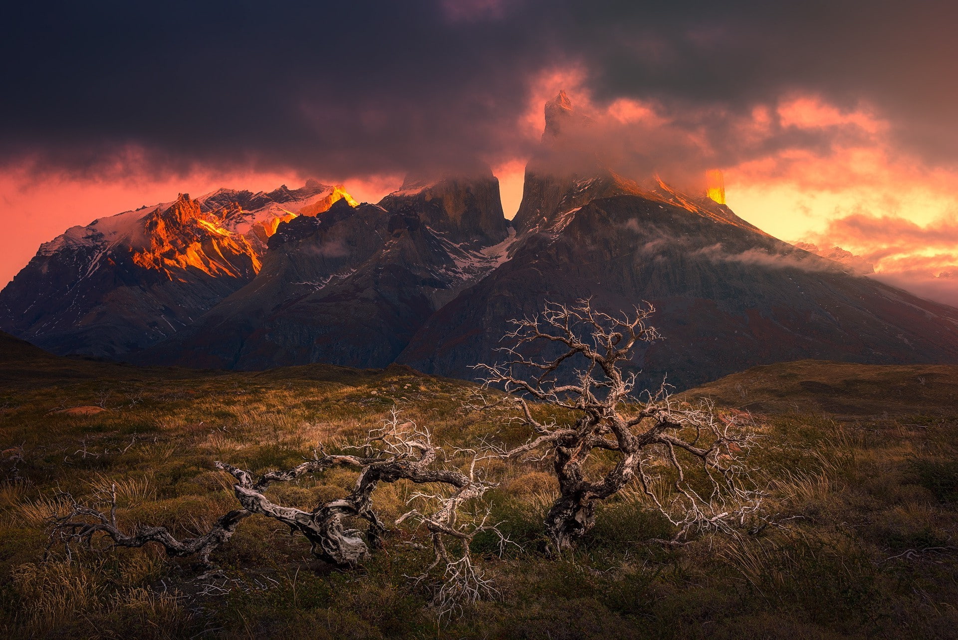 environment, Patagonia, 1080P, physical geography, outdoors, tranquility, mountain peak, sky, tranquil scene, rock - object, Dead Trees, nature, Torres Del Paine, HD Wallpaper